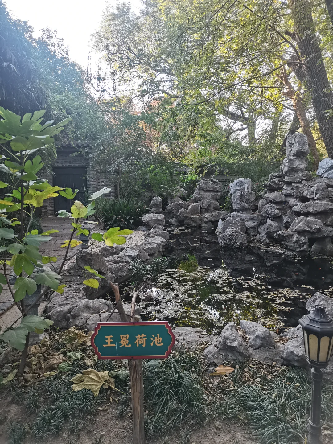 南京秋旅三