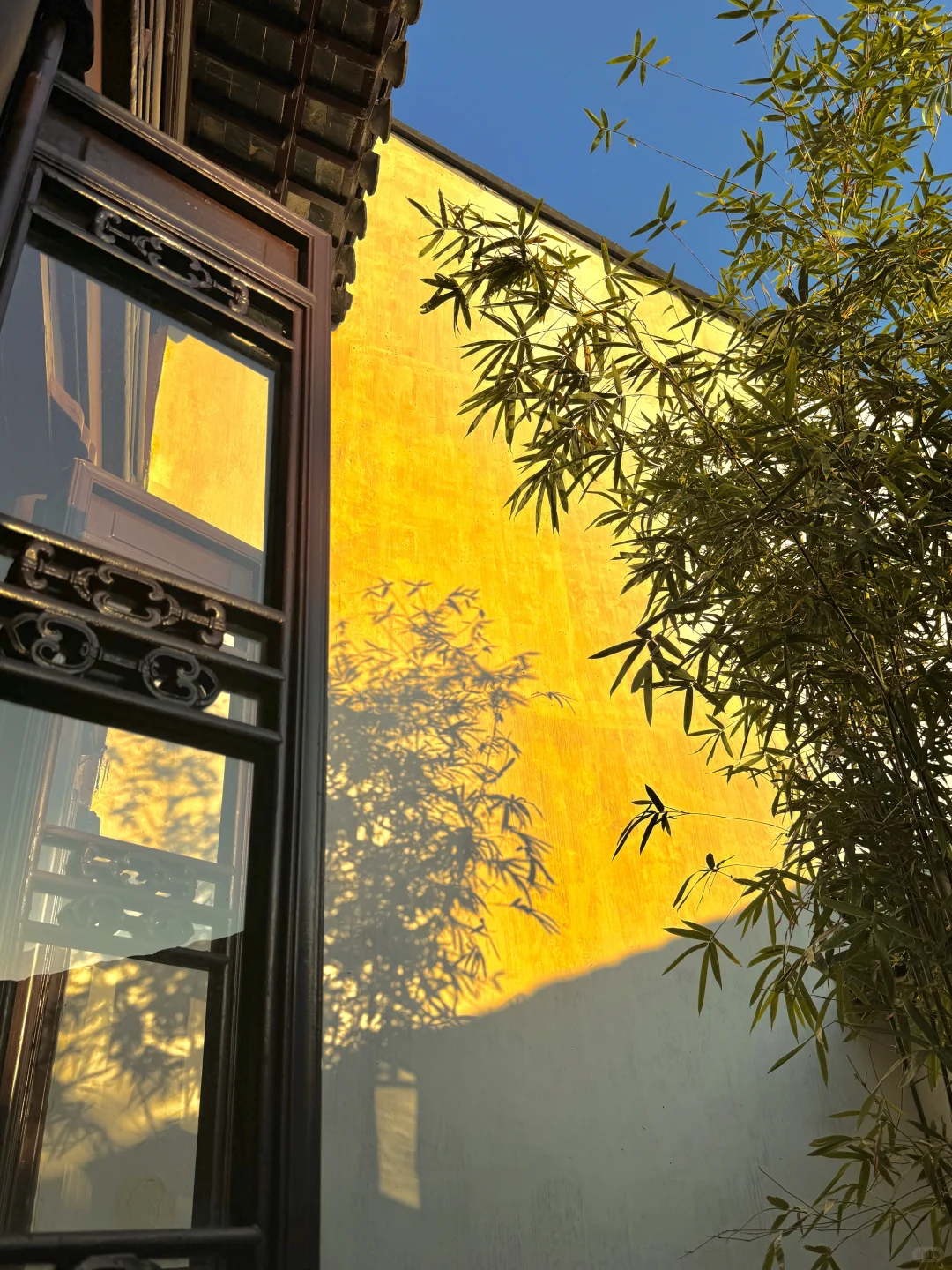 千万别在10-11月去苏州，我怕你来了不想走‼️