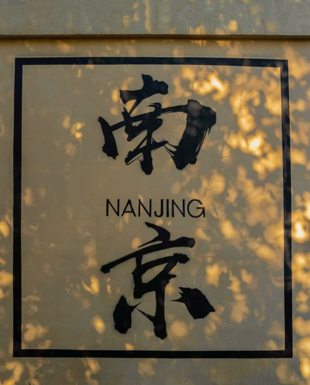 金秋 南京