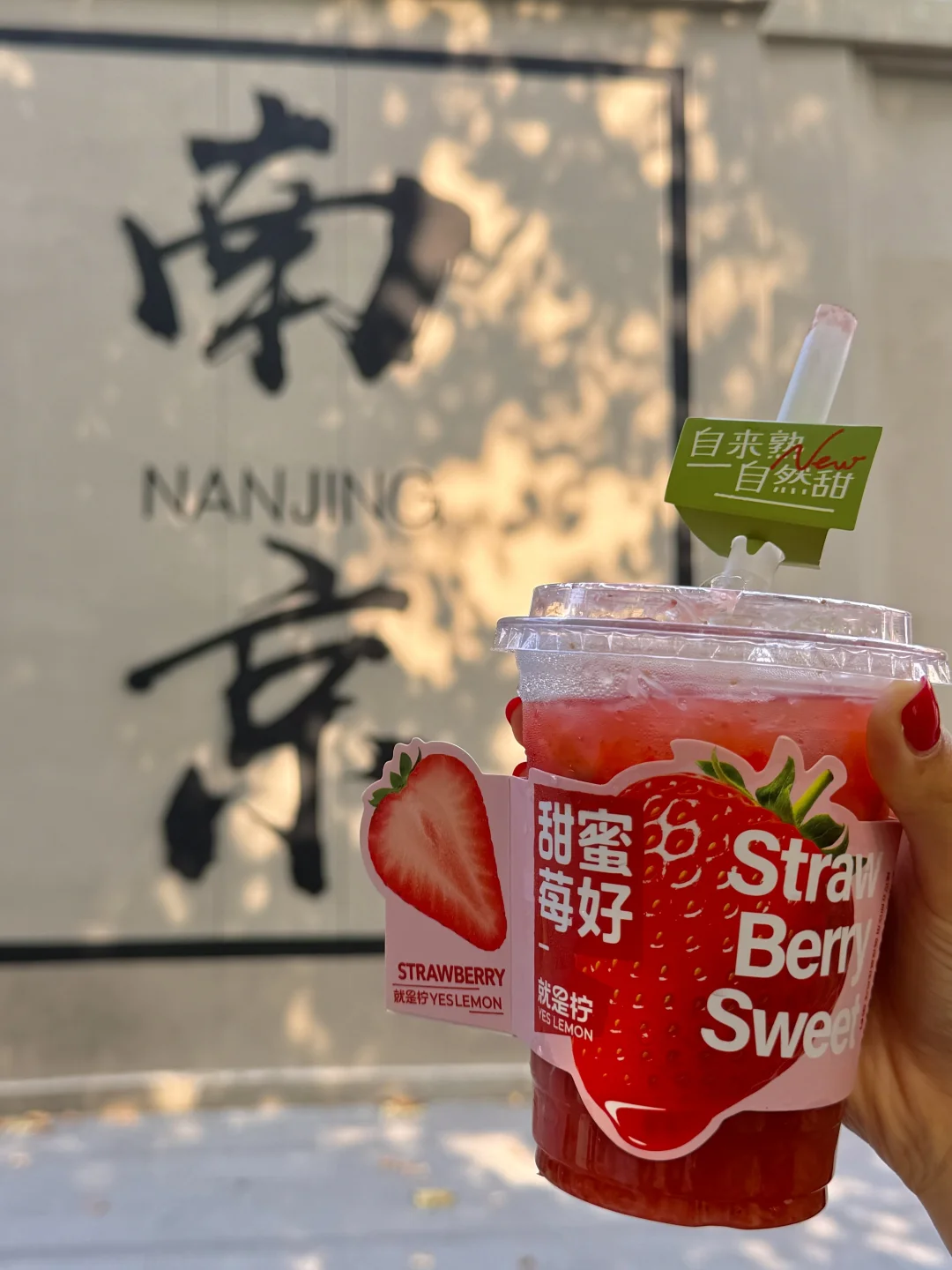 为了1️⃣5️⃣个机位，我特地在秋天去了趟南京