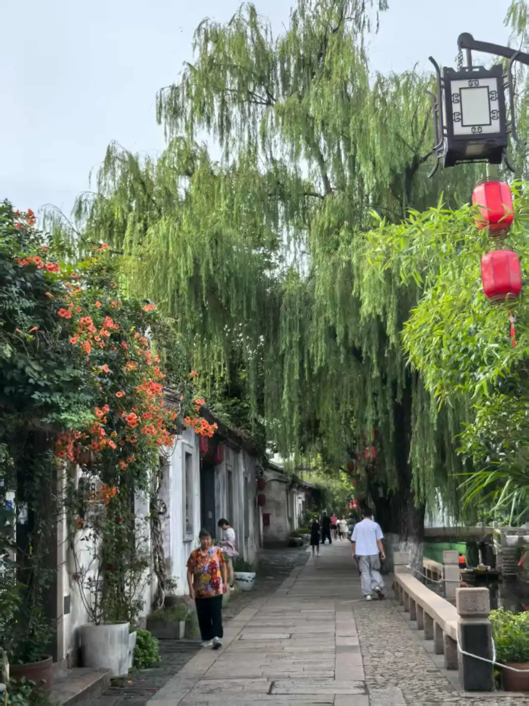 苏州该怎么玩（五）