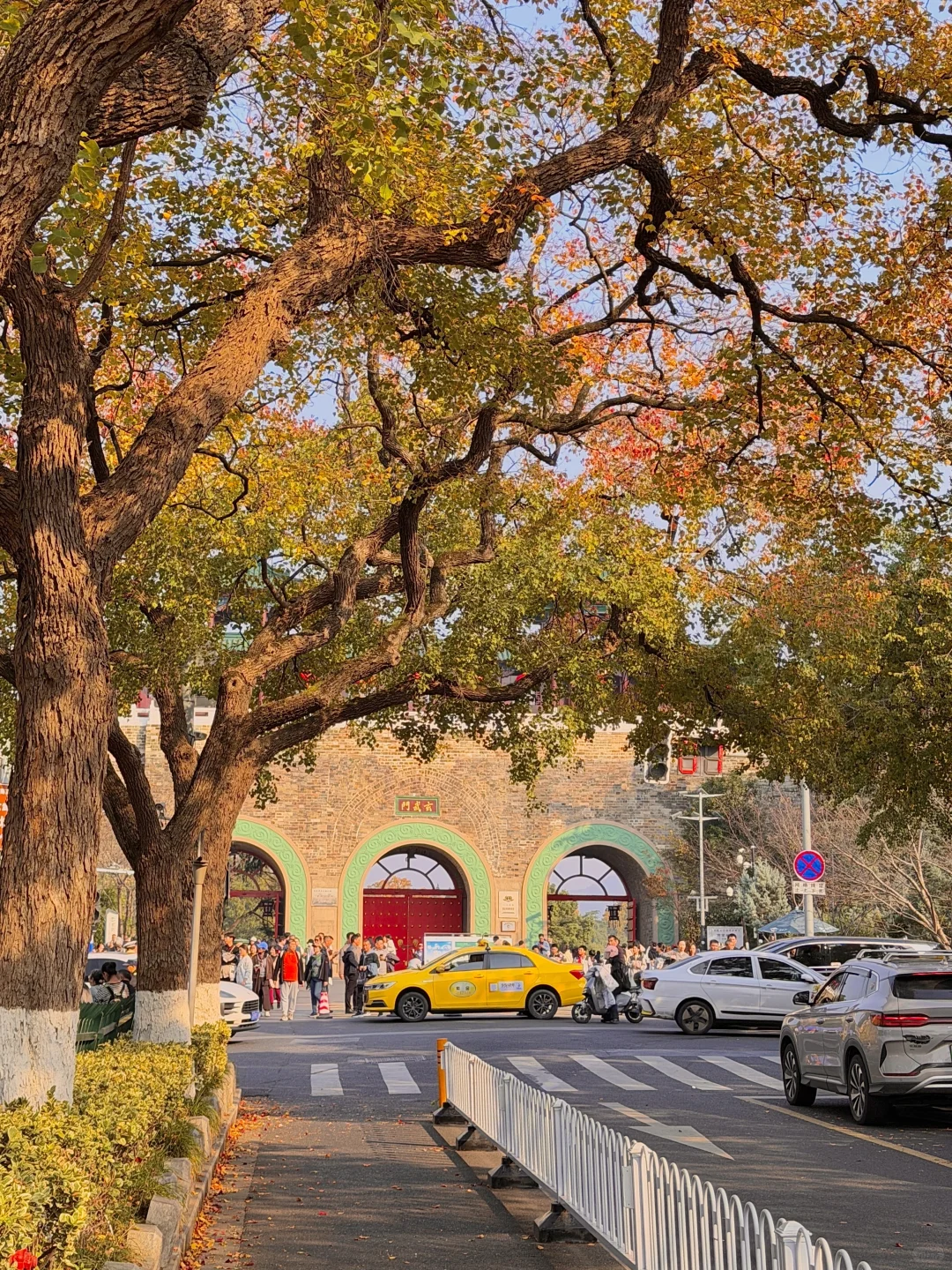 为了1️⃣5️⃣个机位，我特地在秋天去了趟南京