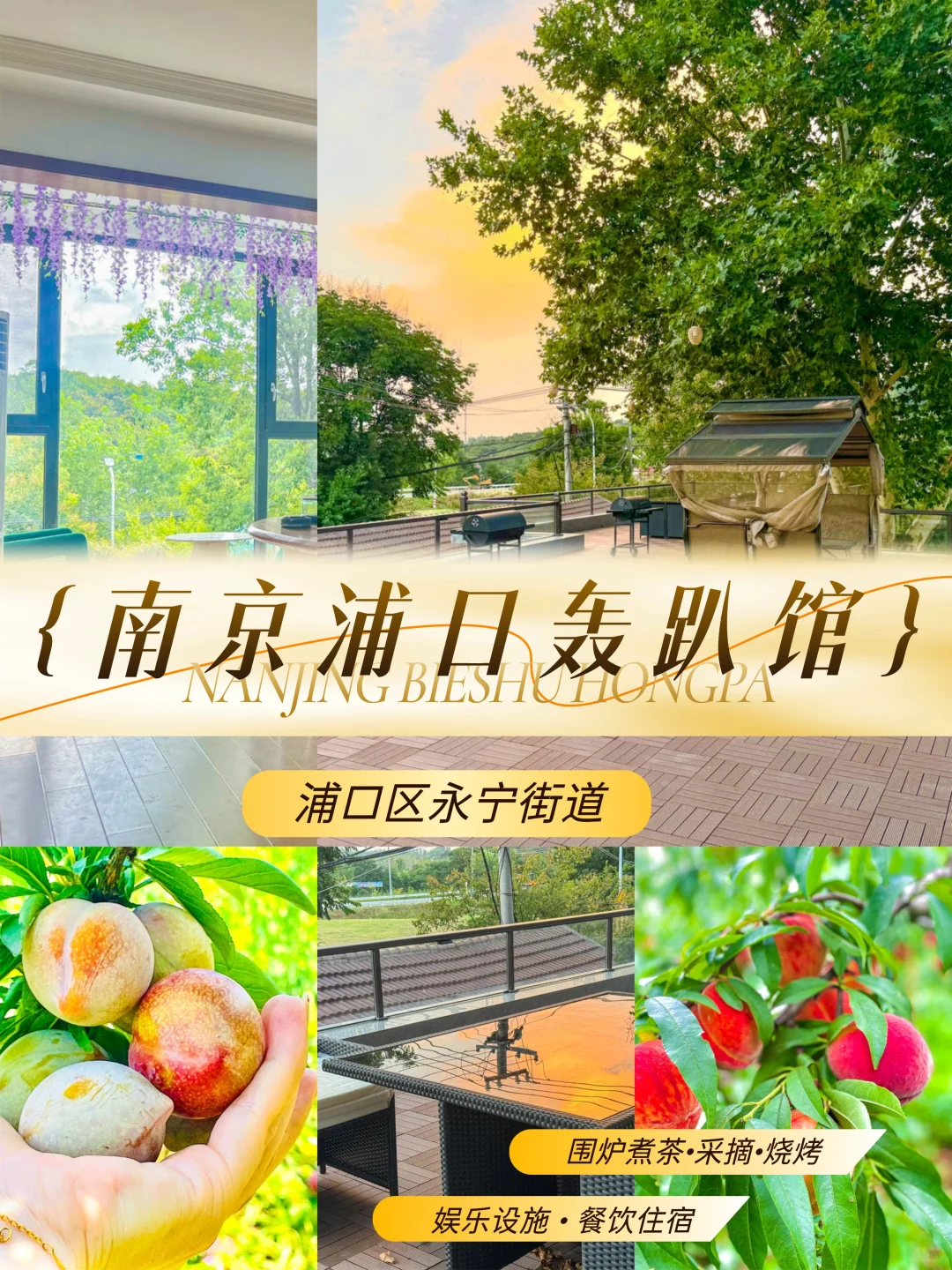 🏡逃离城市计划！南京轰趴，采摘·垂钓