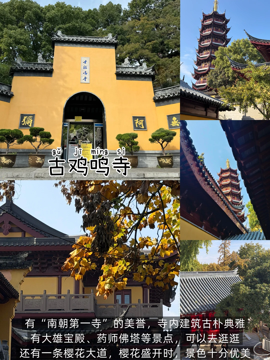 南京📍两日游丨懒人版不走回头路逛吃攻略