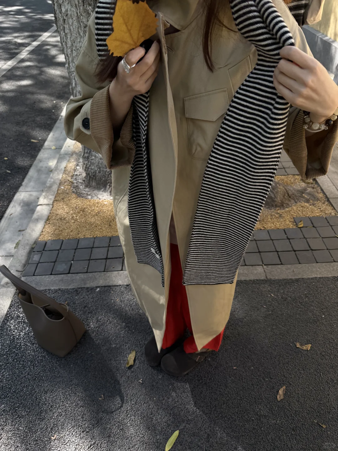 南京的秋🍂