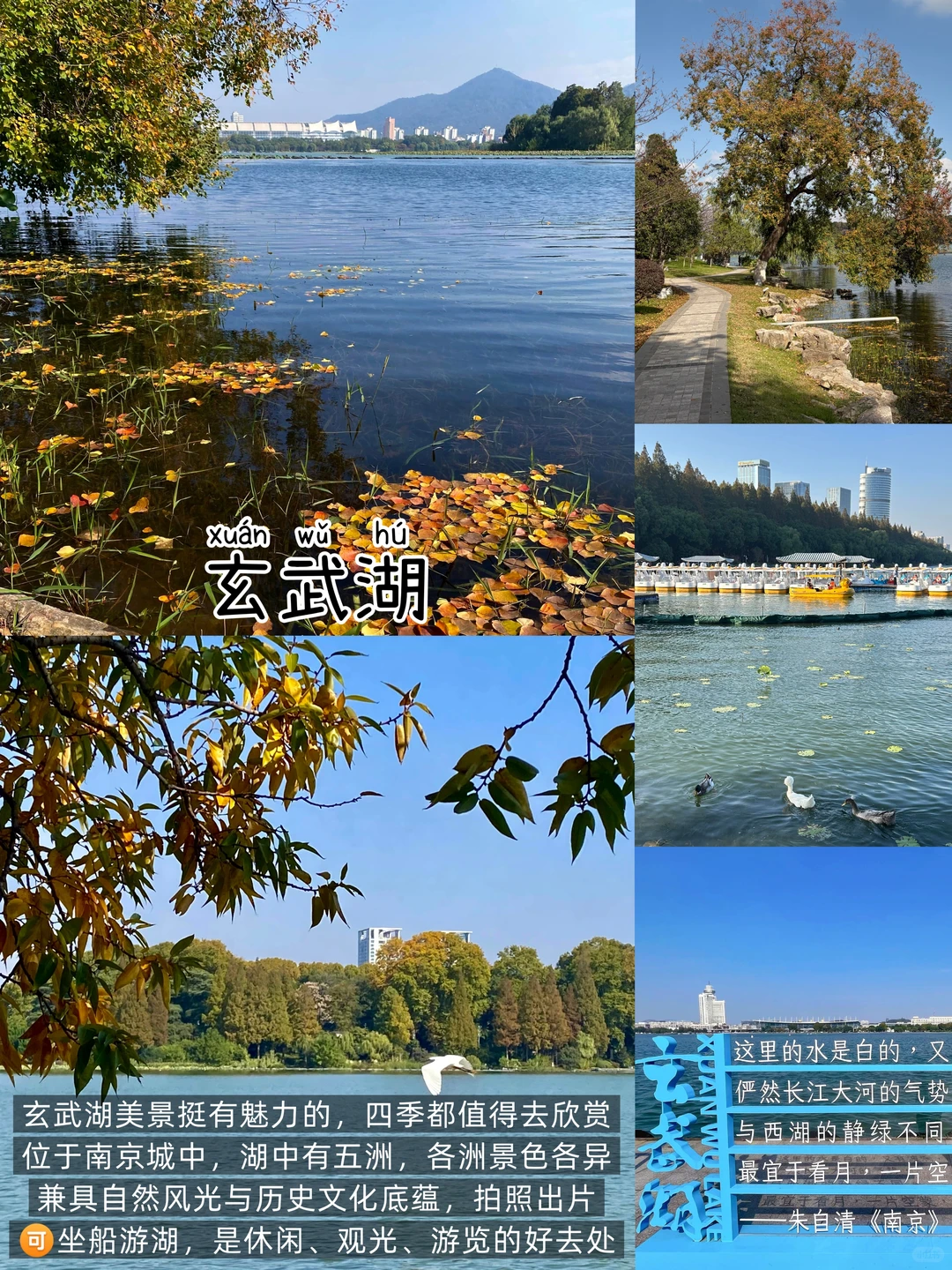 南京📍两日游丨懒人版不走回头路逛吃攻略