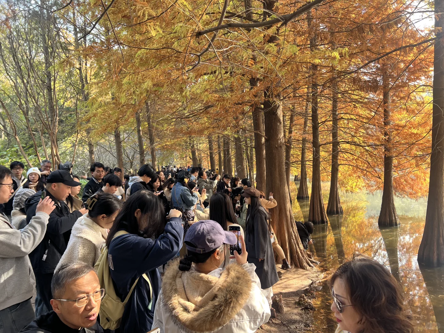 11.22日的南京，我劝你别来！！！！！！