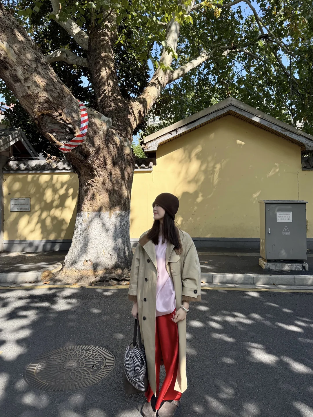 南京的秋🍂