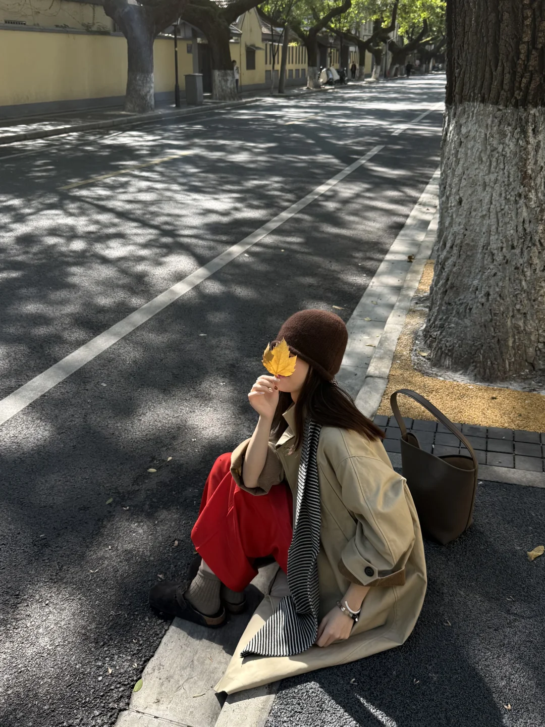 南京的秋🍂