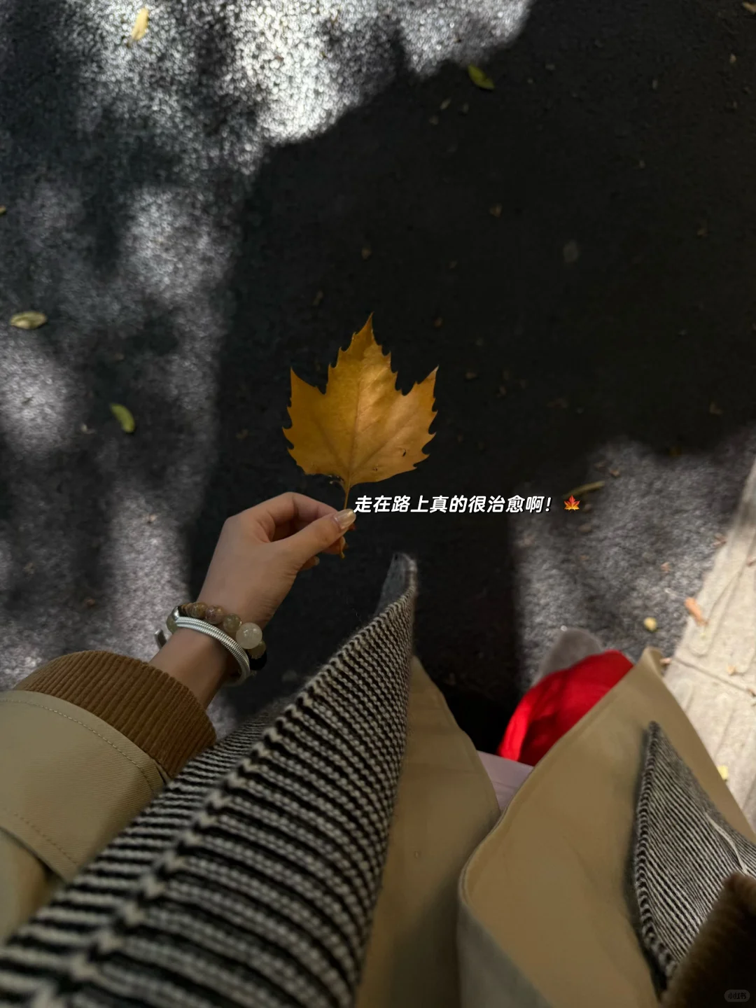 南京的秋🍂