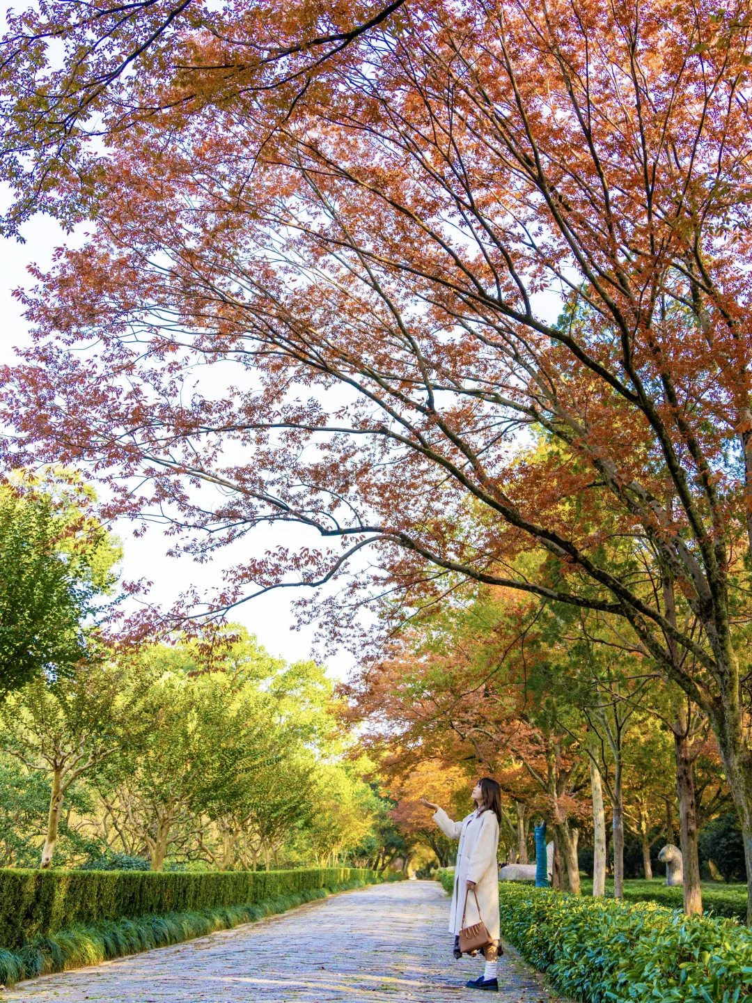 为了这组照片，秋天特意去了趟南京🍂