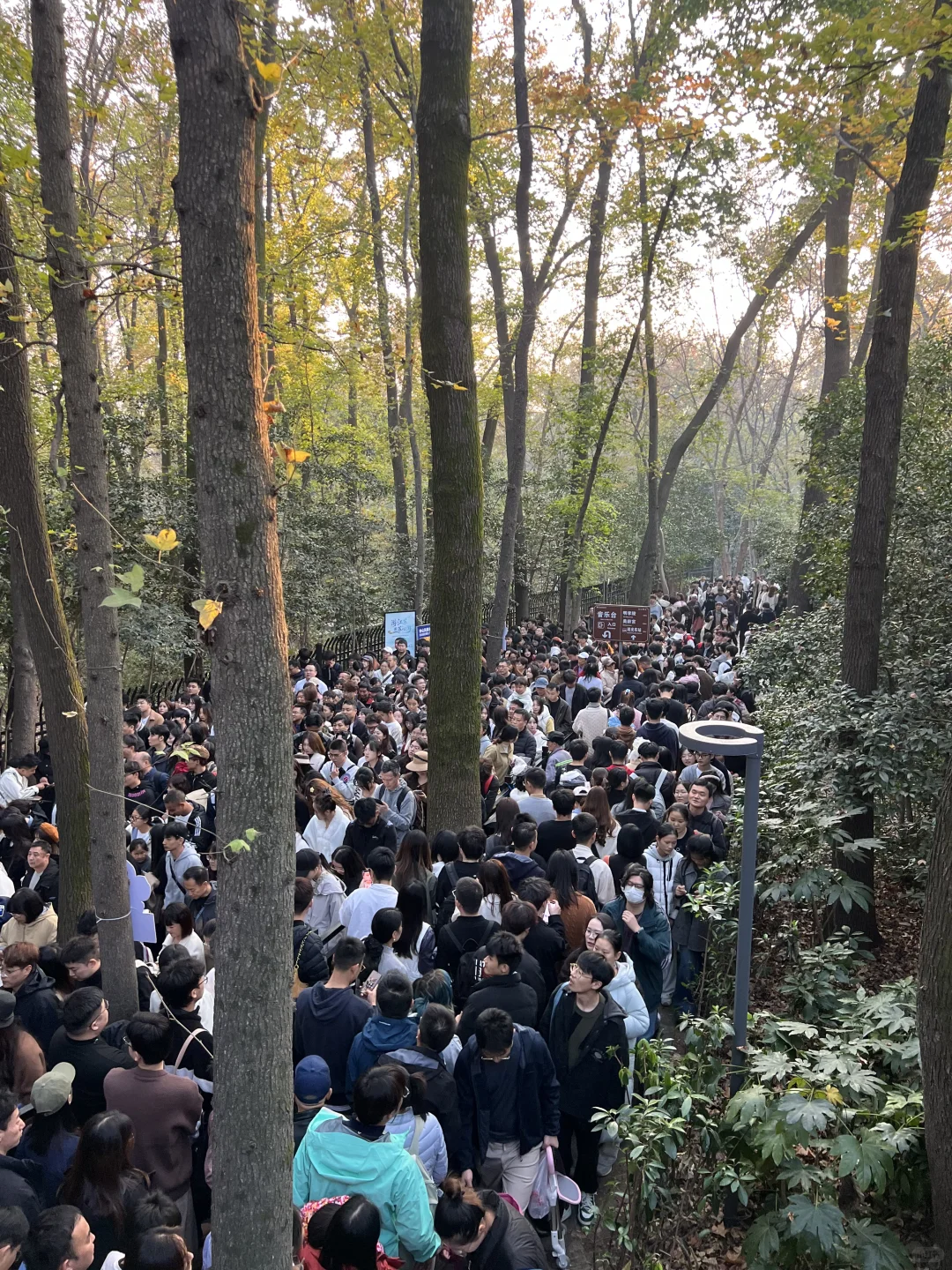 11.22实况，音乐台挤爆了