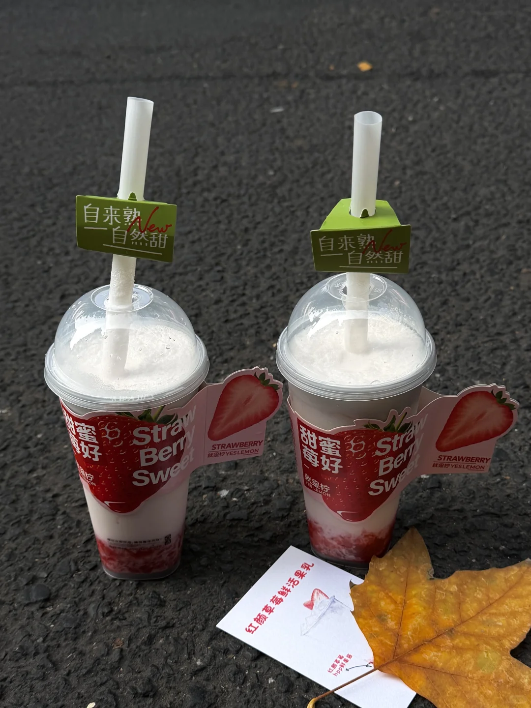 为了1️⃣5️⃣个机位，我特地在秋天去了趟南京