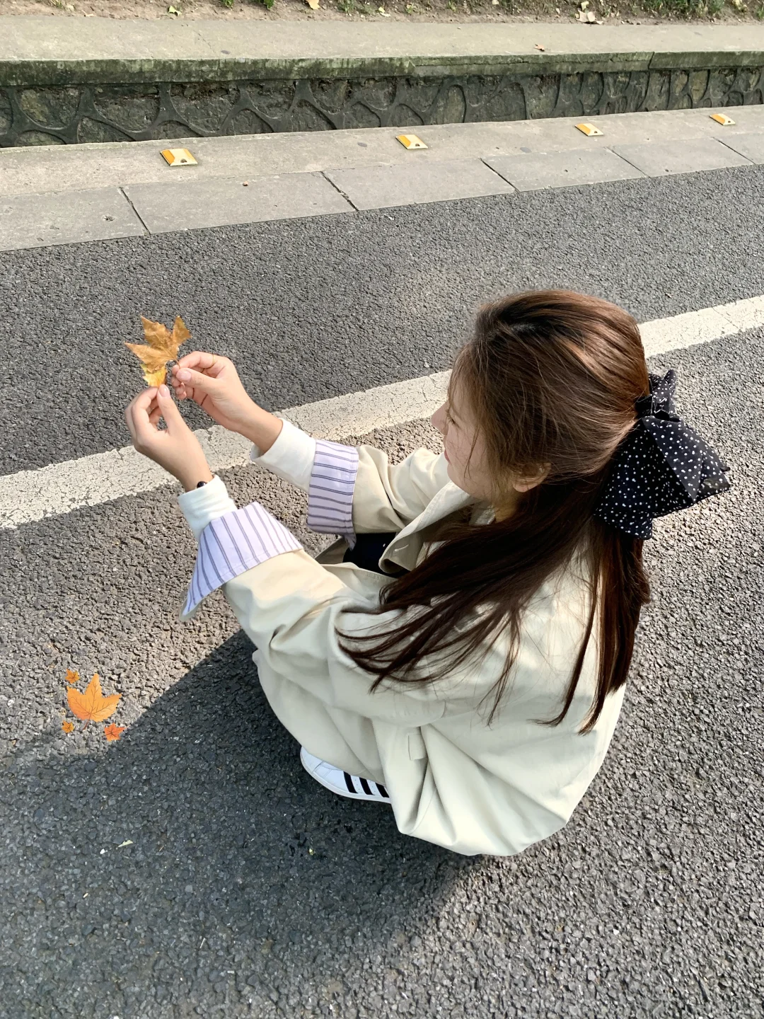 ：秋天的梧桐大道🍁