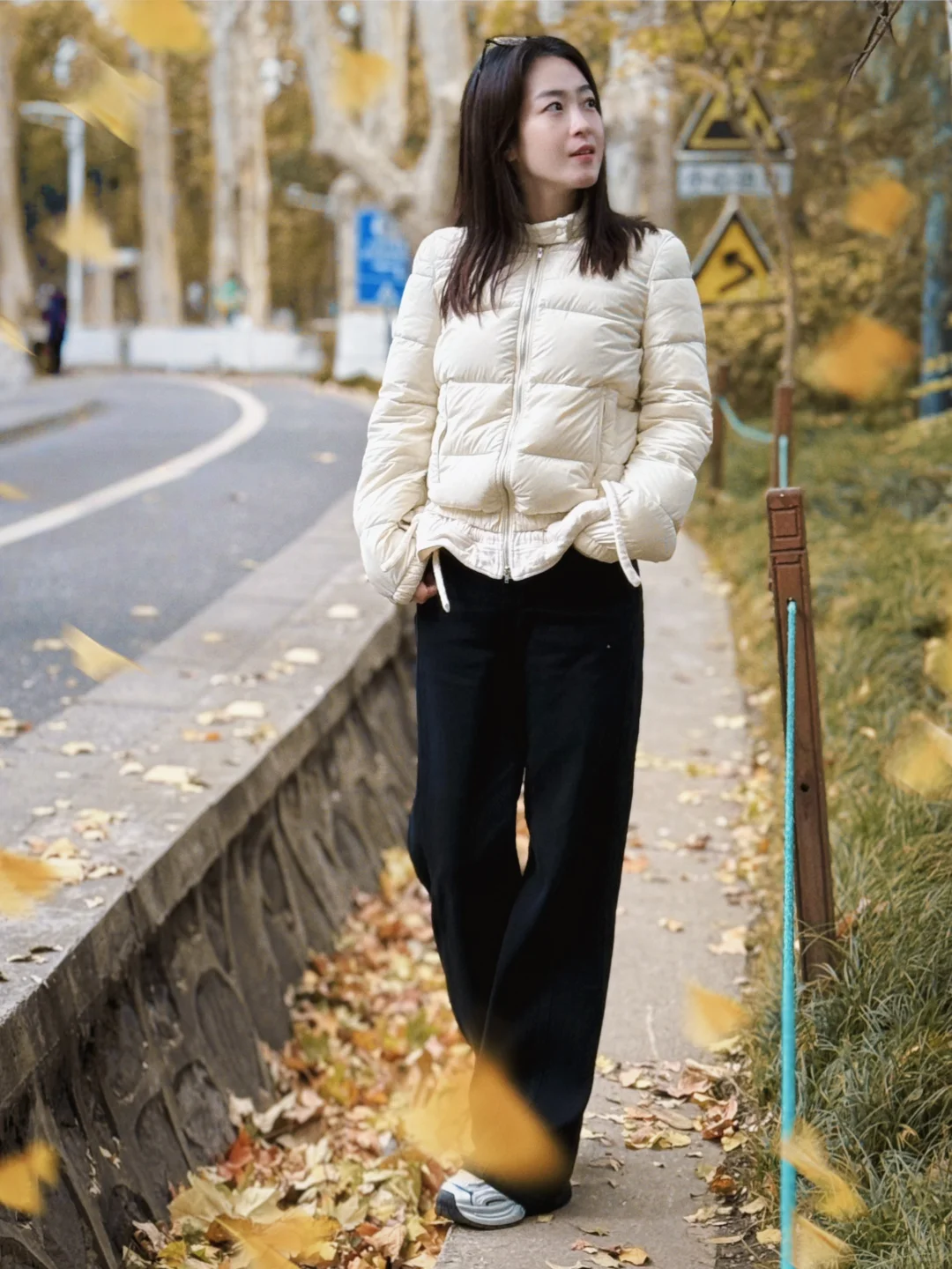 梧桐大道的落叶🍂今天的南京好冷