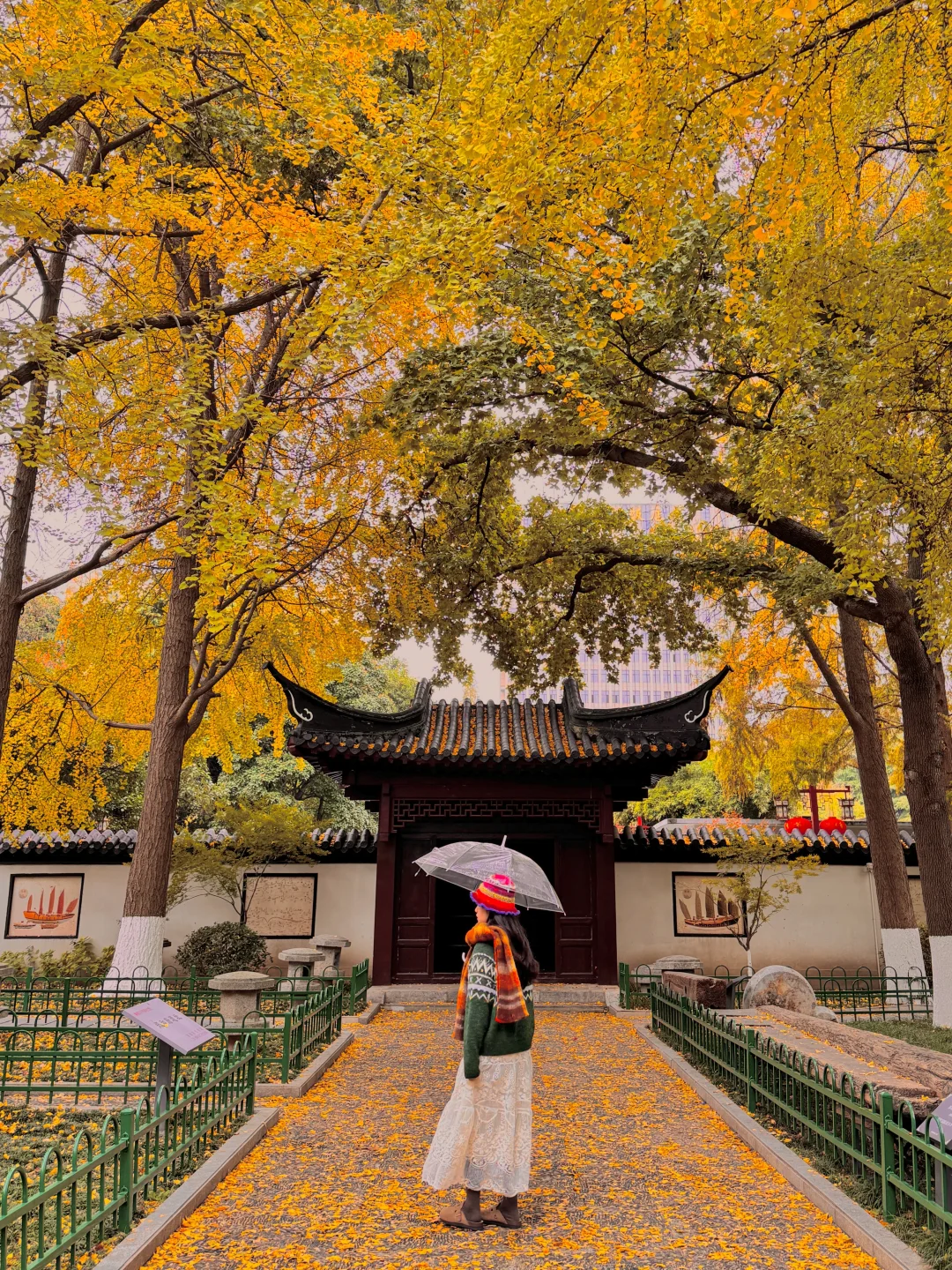 为了1️⃣5️⃣个机位，我特地在秋天去了趟南京