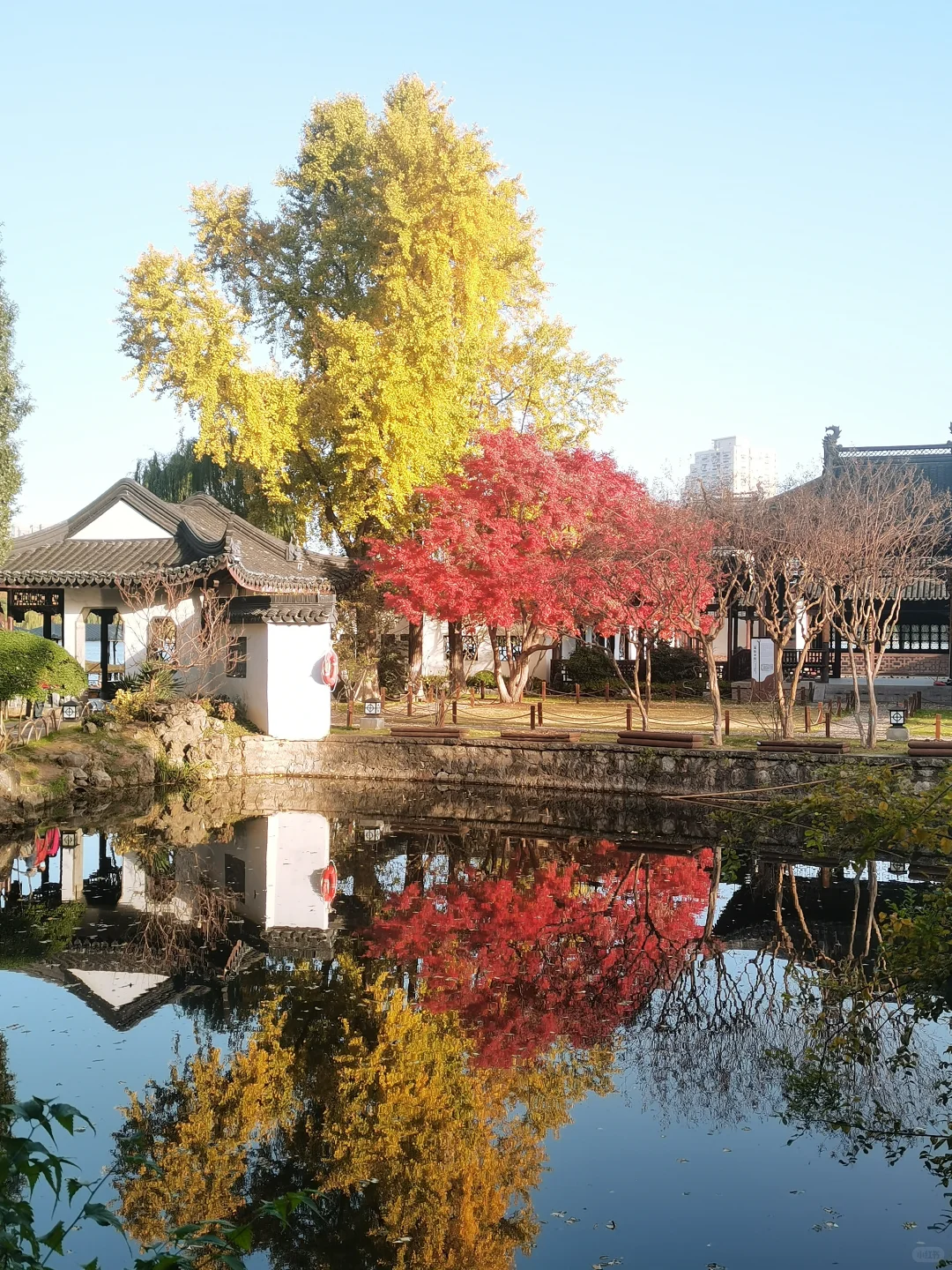 南京秋旅三