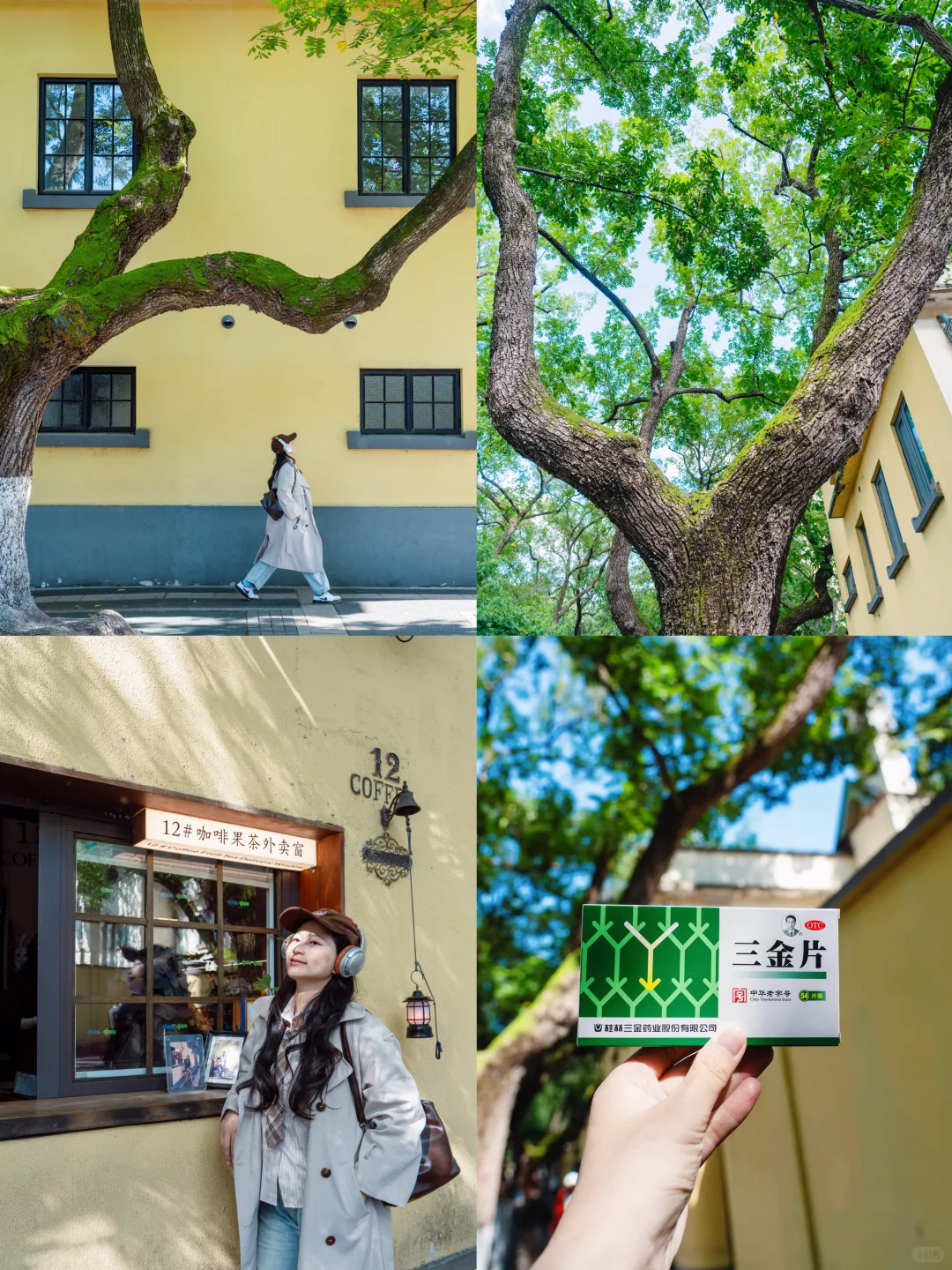 秋天来南京，一定要走的赏秋路线🍂