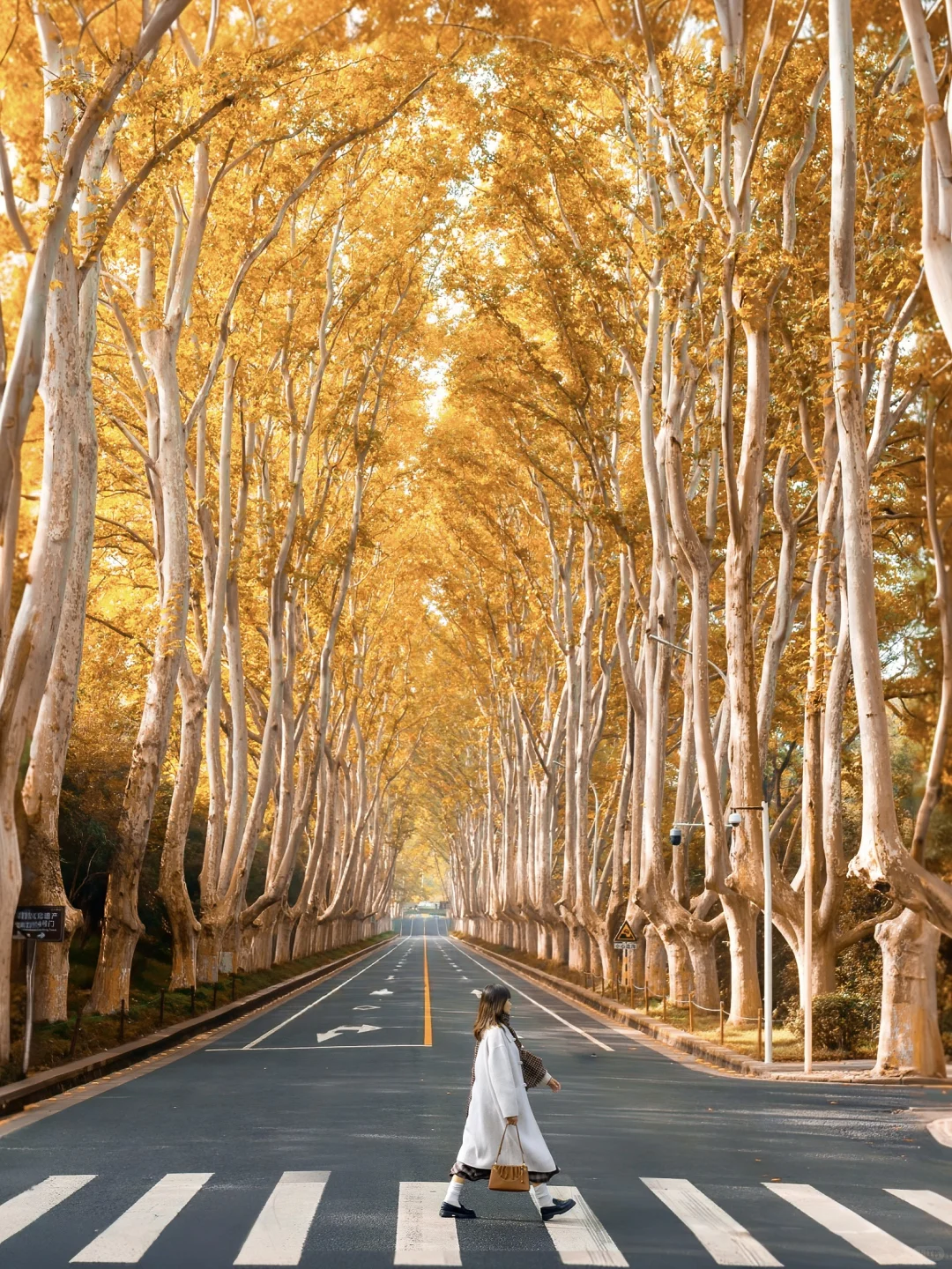 为了这组照片，秋天特意去了趟南京🍂