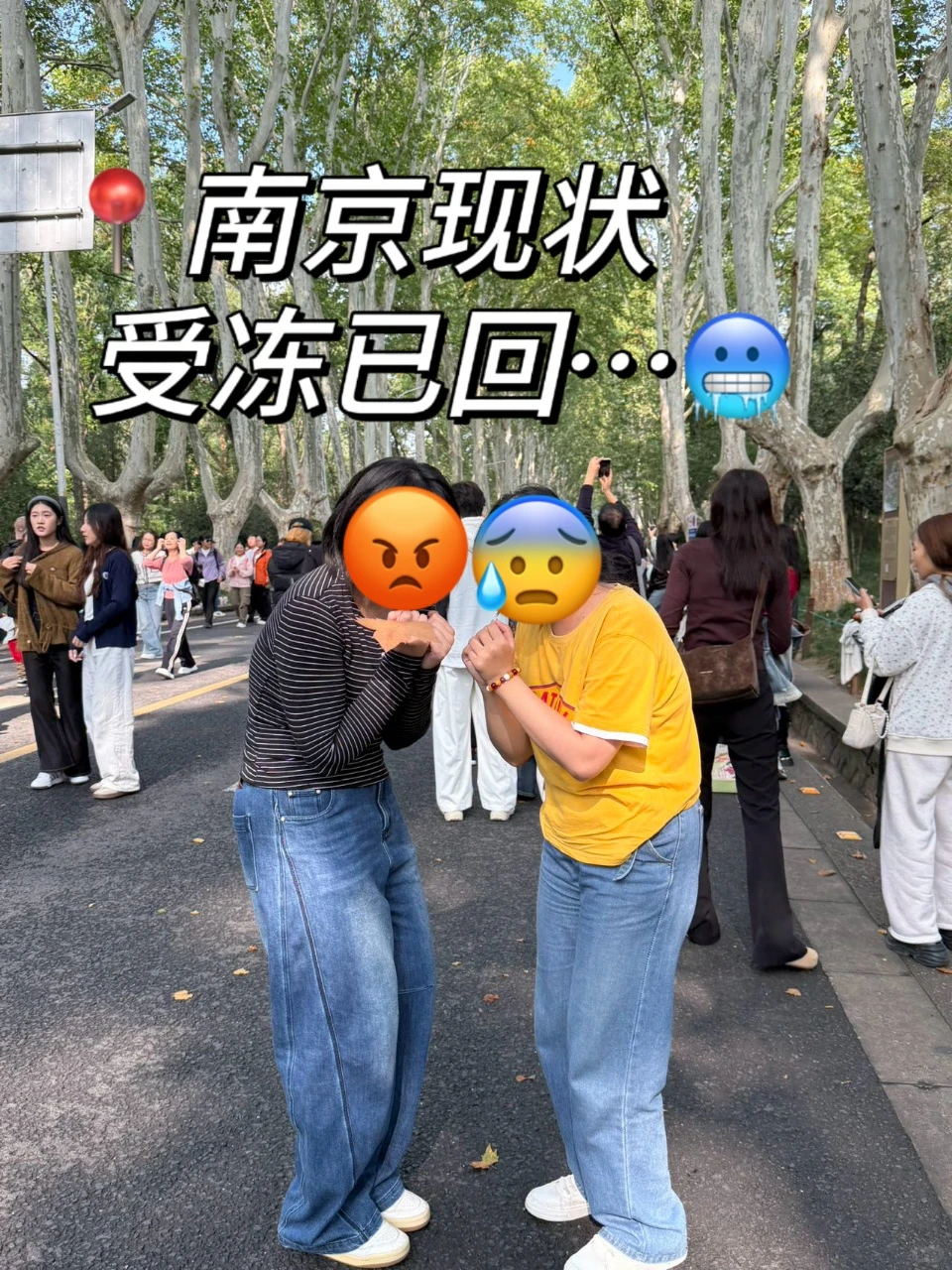 📍11.20南京受冻已回🥶🥶崩溃了...