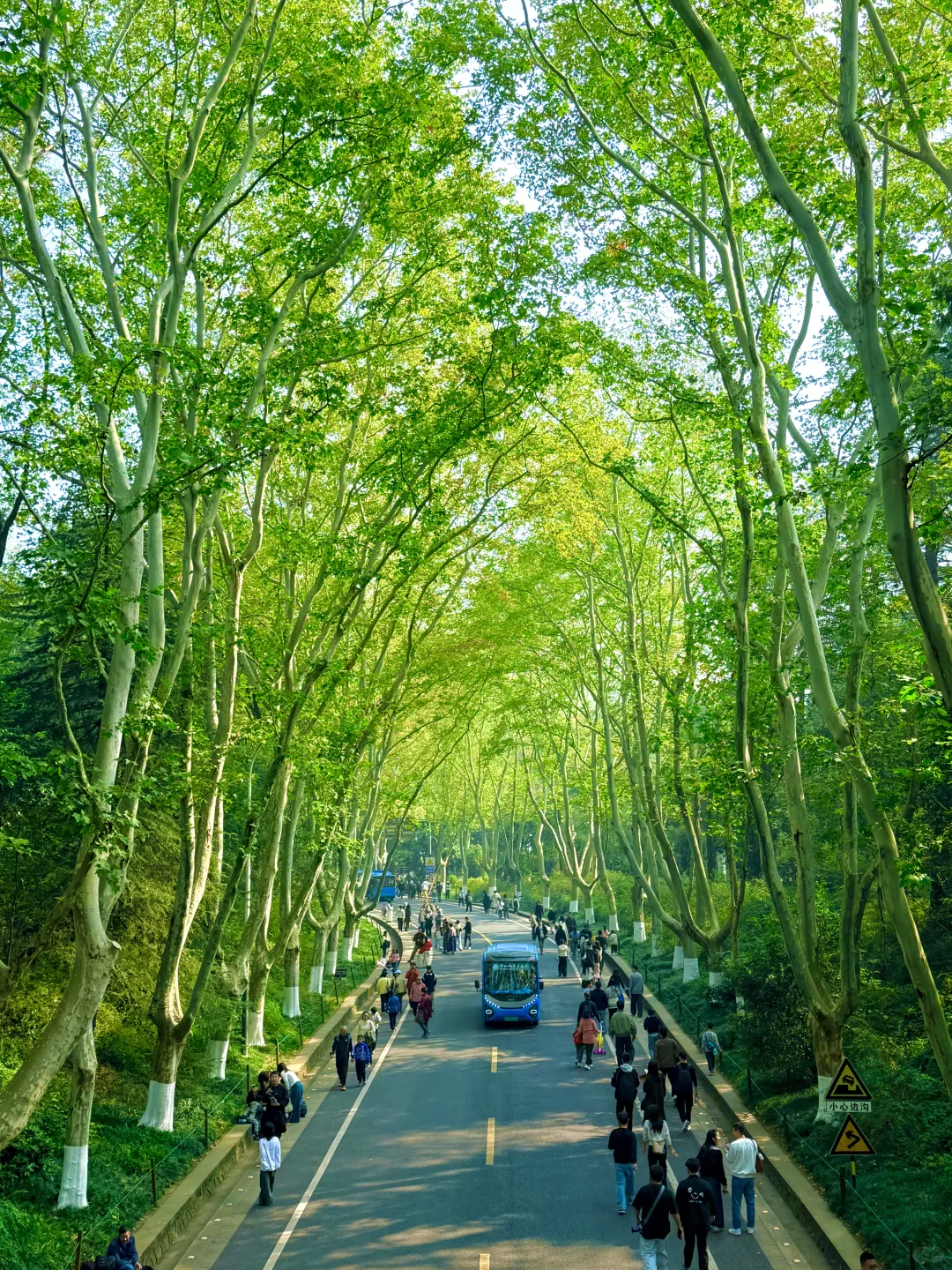 特种兵南京赏秋一日游citywalk攻略（附路线）