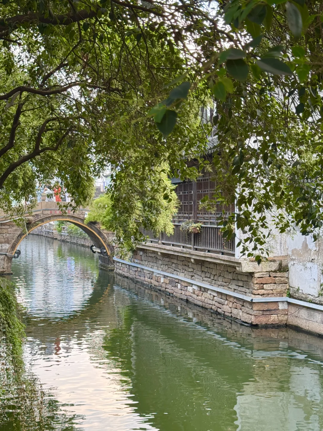 📍苏州旅游｜一条平江路🚶🏻‍♂️半座姑苏城🛶