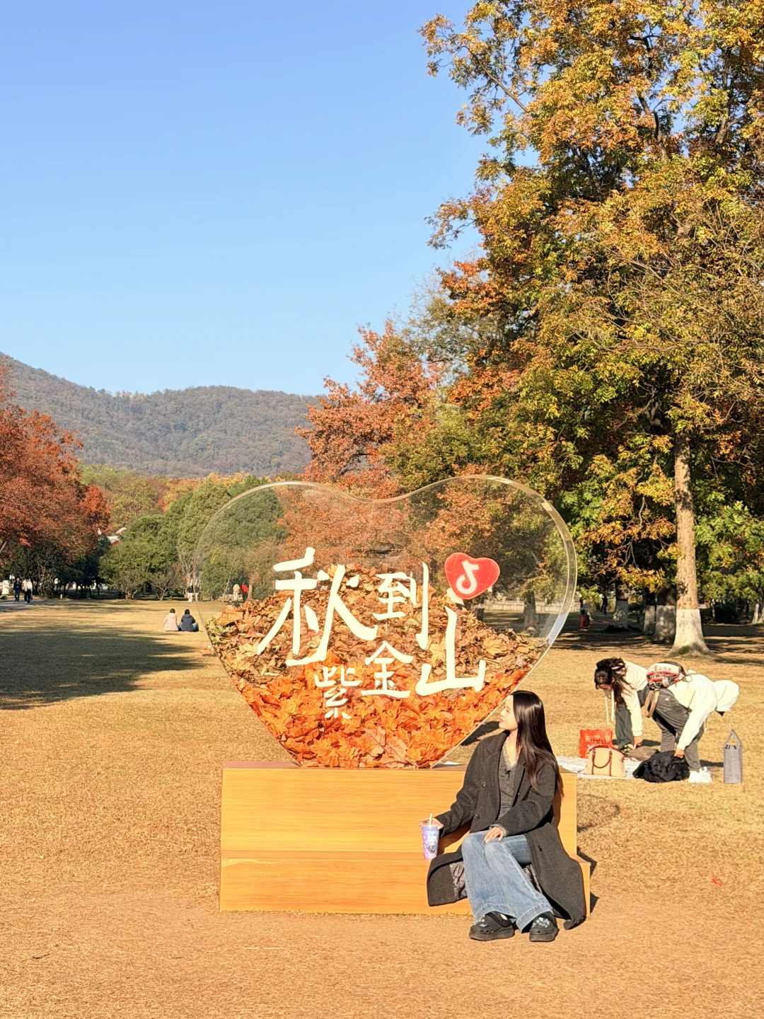 南京｜明孝陵 11.20实况