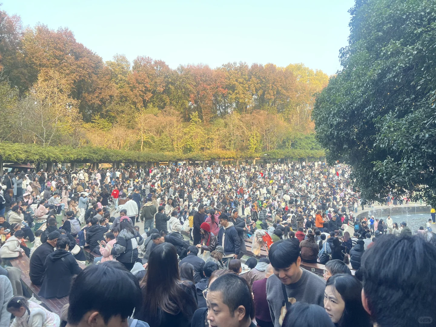 11.22日的南京，我劝你别来！！！！！！