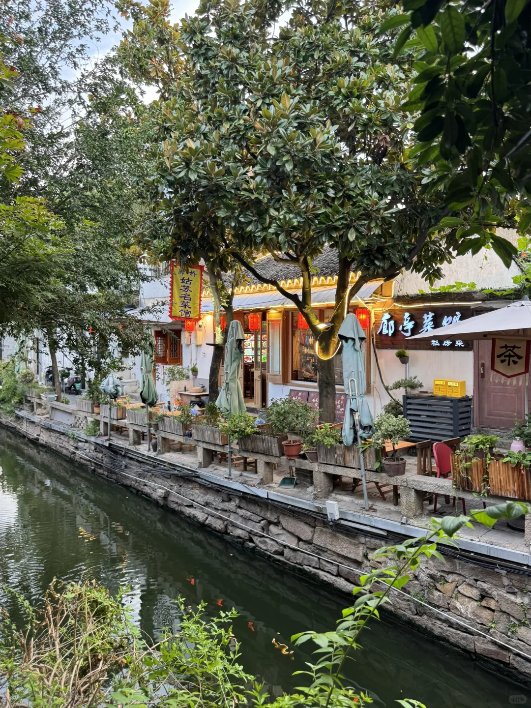 📍苏州旅游｜一条平江路🚶🏻‍♂️半座姑苏城🛶