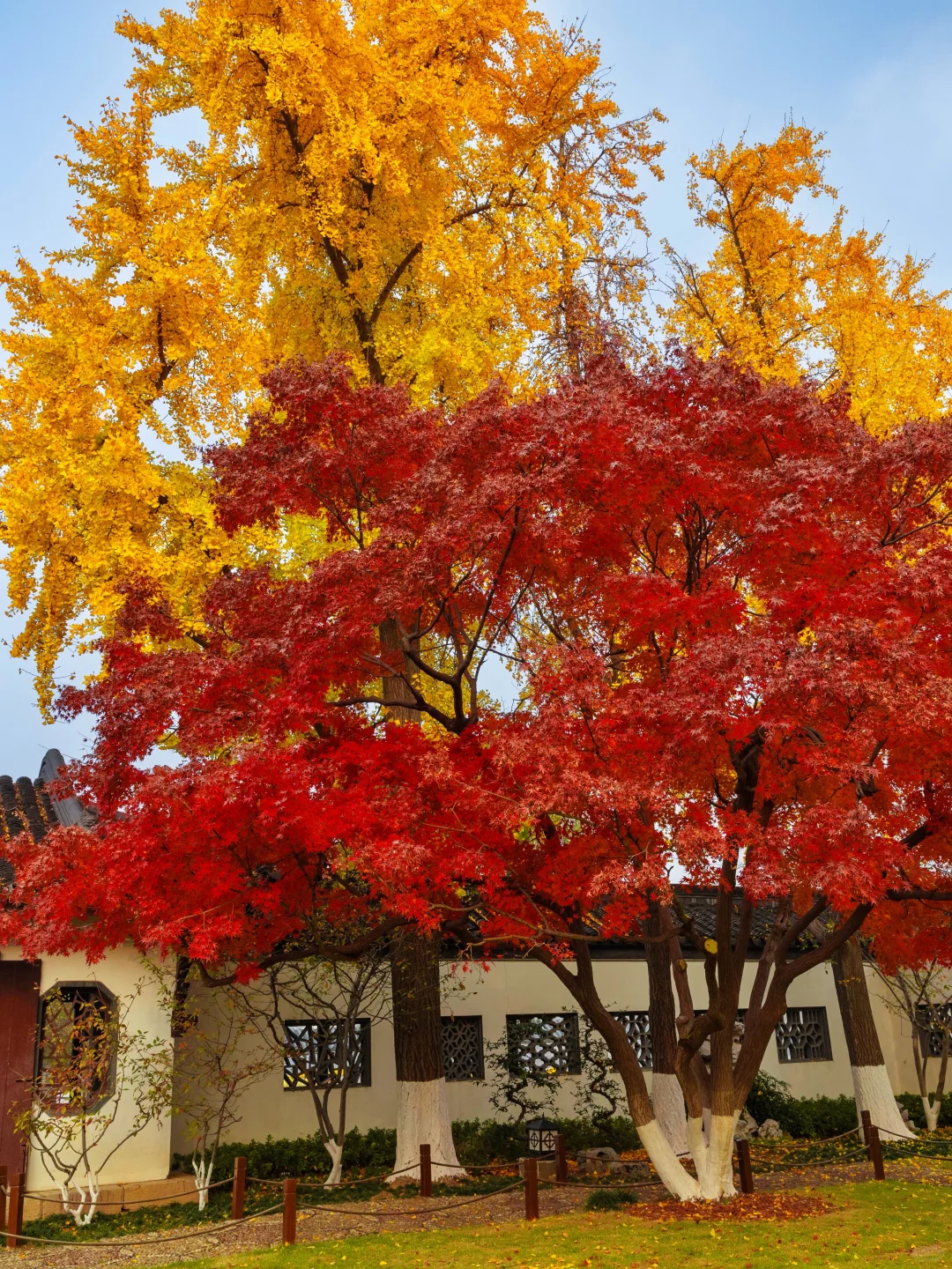爱回收｜现在来南京赏秋🍁就去这9个地方
