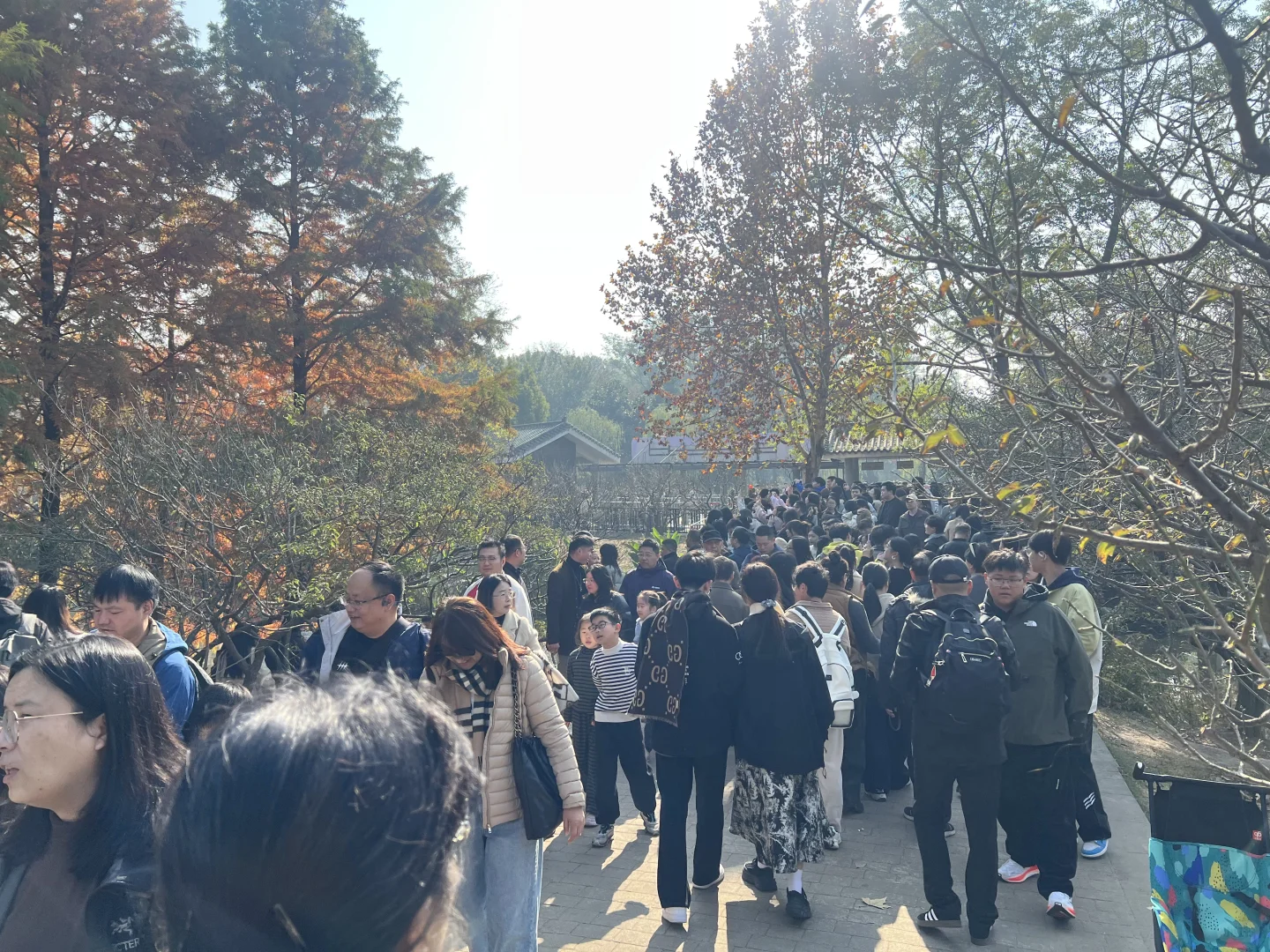 11.22日的南京，我劝你别来！！！！！！
