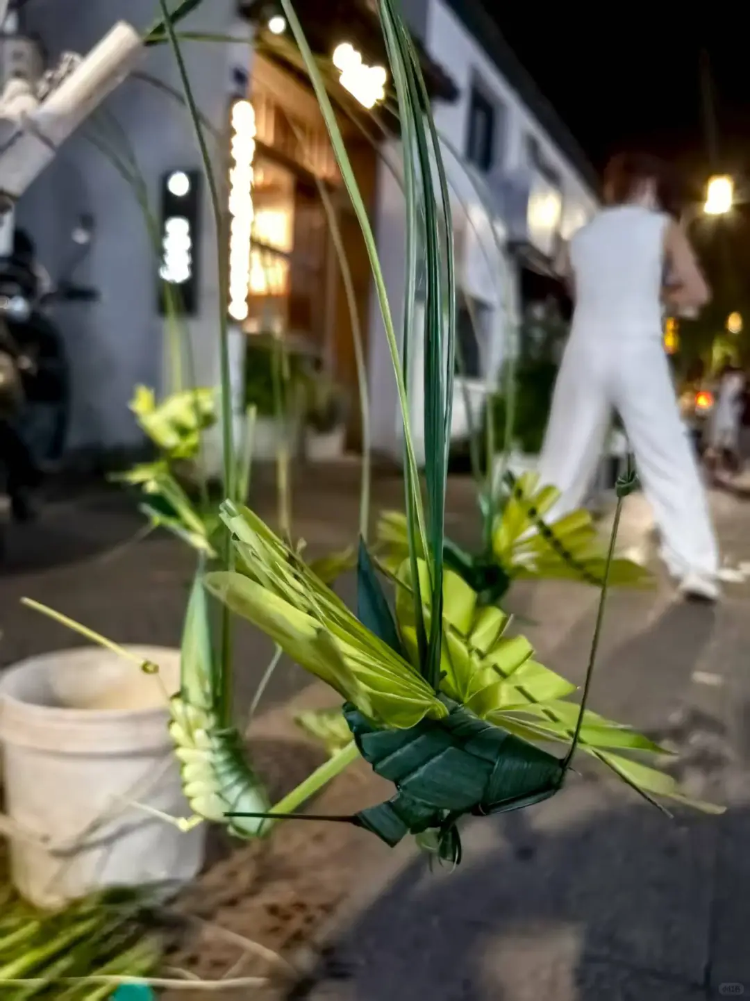 苏州该怎么玩（五）