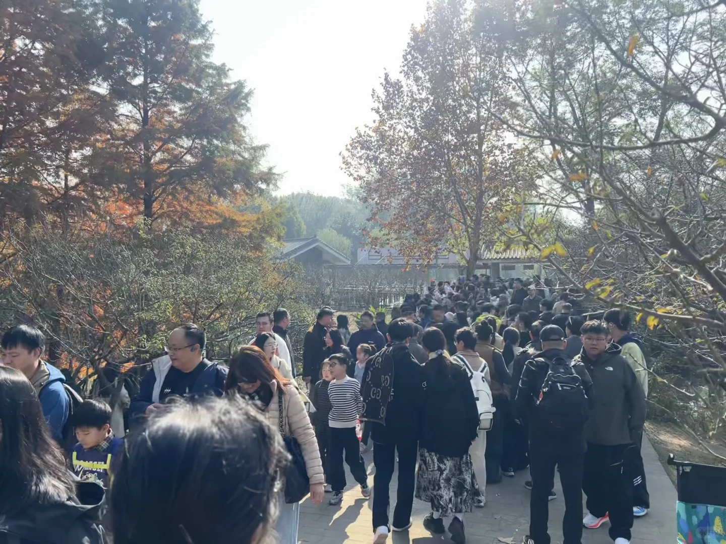 11.22日的南京，我劝你别来！！！！！！
