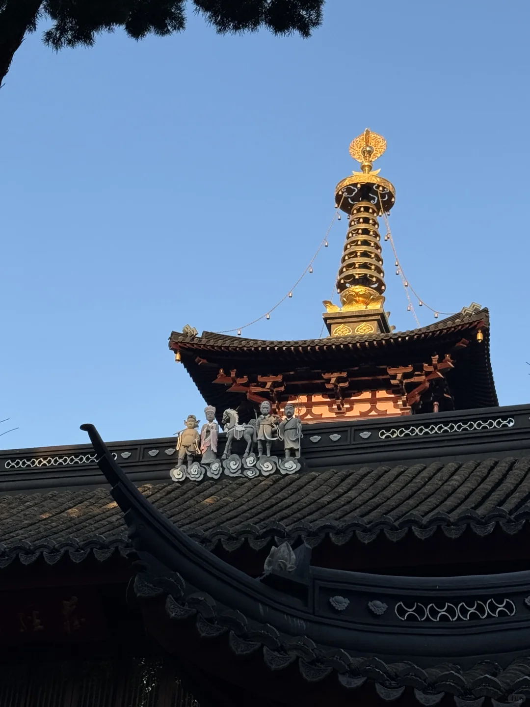 （苏州）总要来一趟寒山寺吧（攻略版）