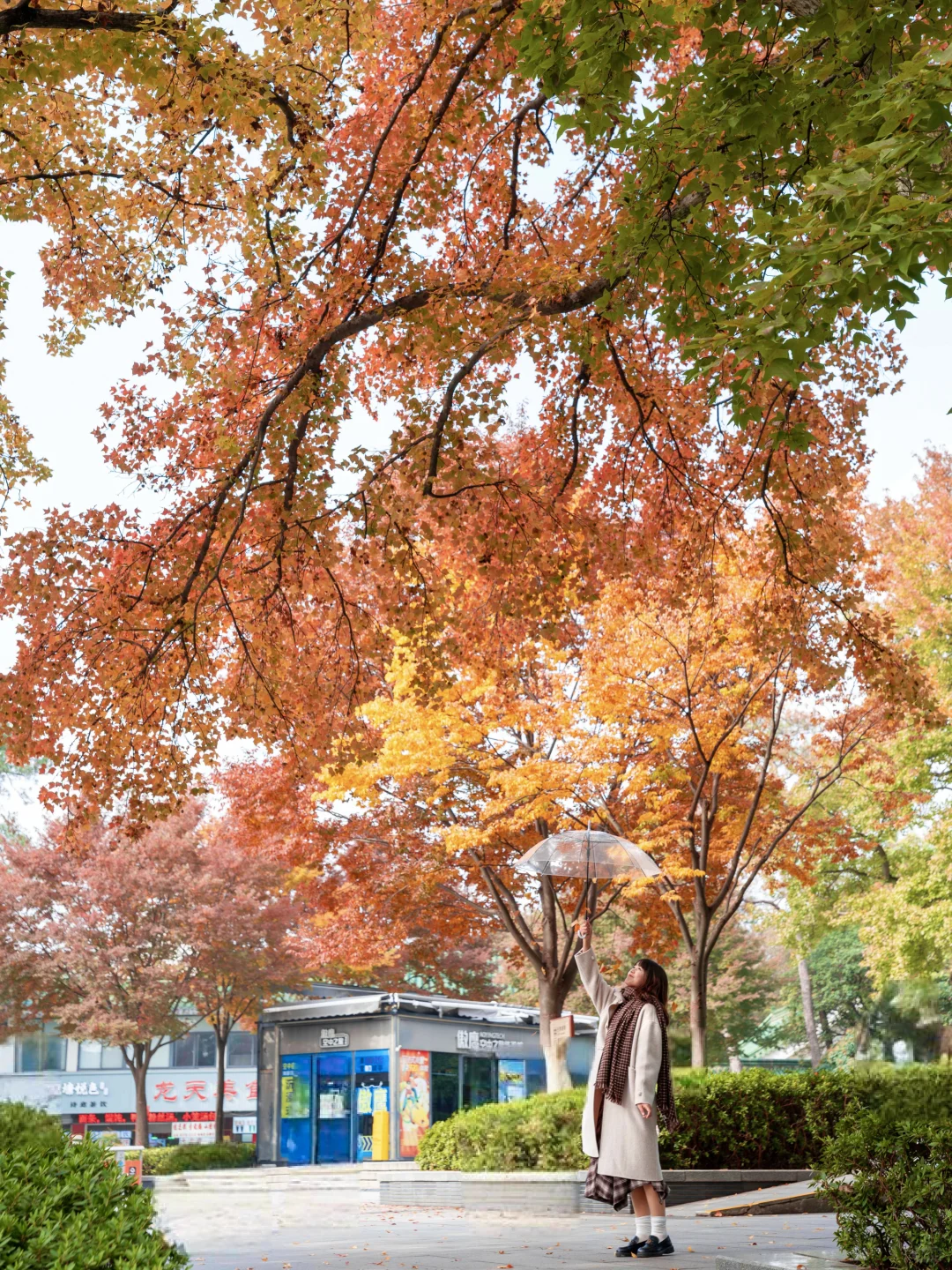 为了这组照片，秋天特意去了趟南京🍂