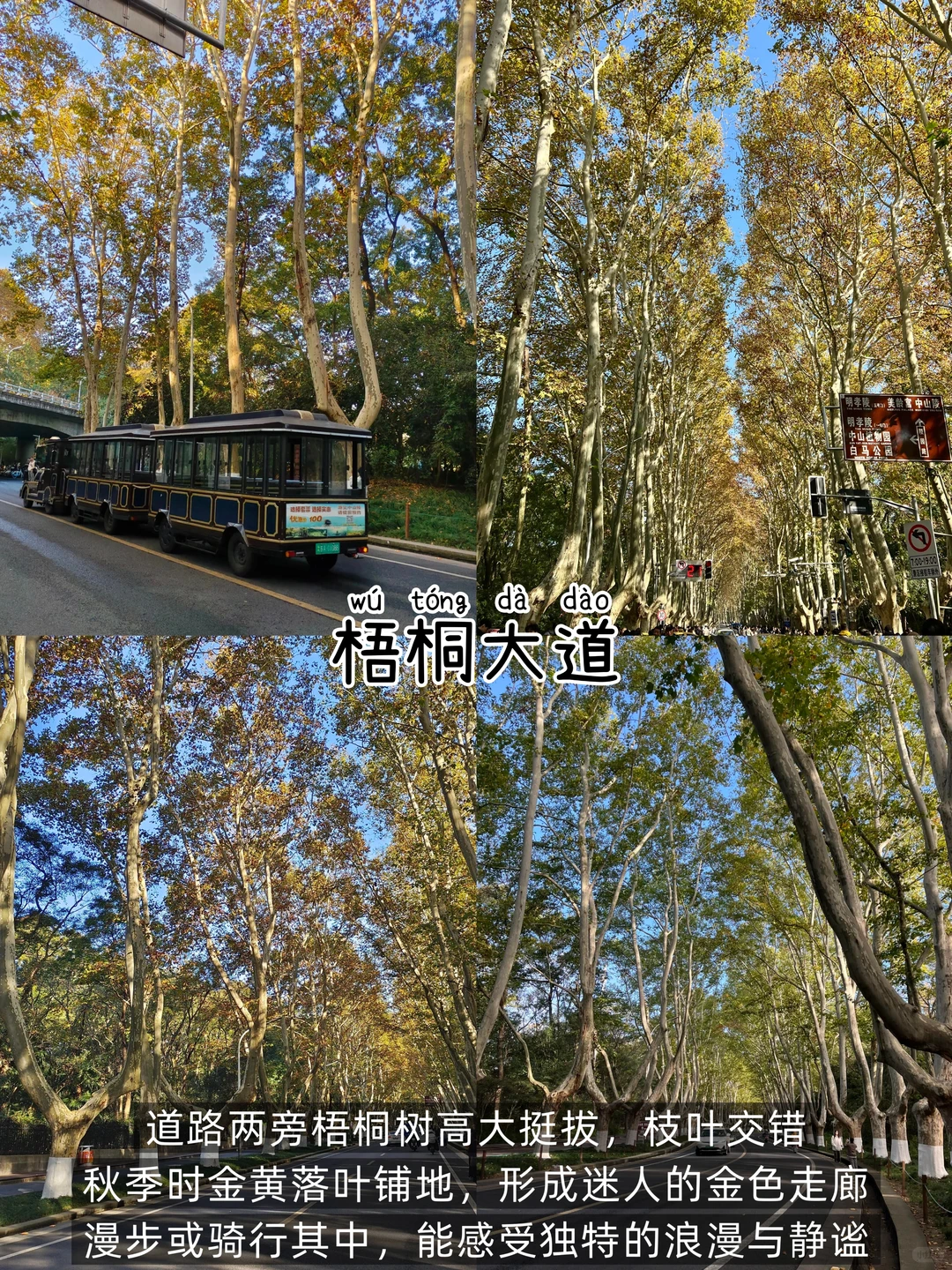 南京📍两日游丨懒人版不走回头路逛吃攻略