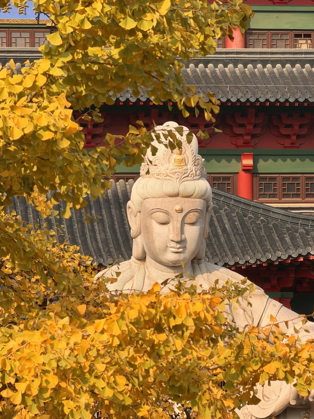 为了1️⃣5️⃣个机位，我特地在秋天去了趟南京