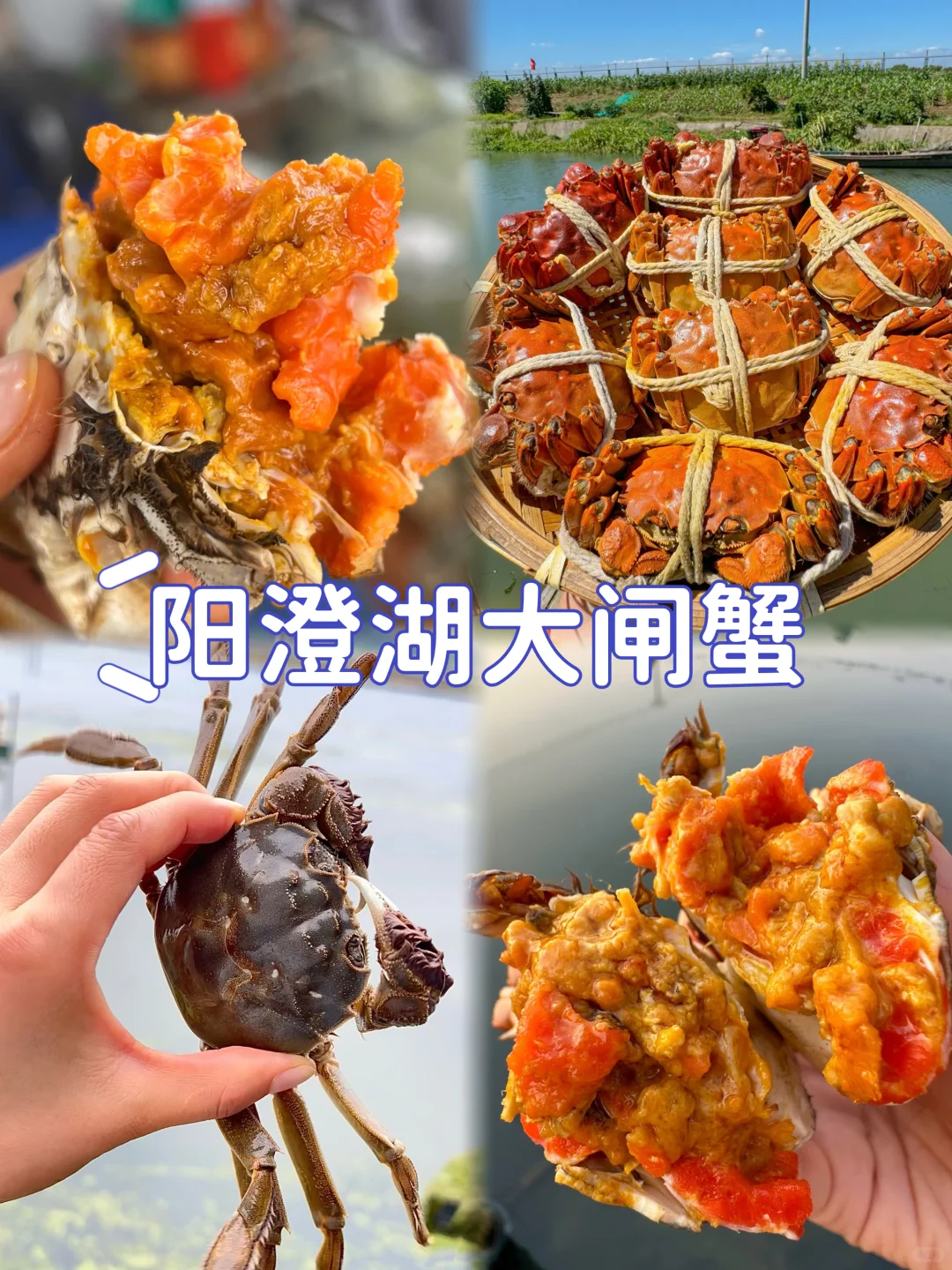 苏州48h记录📝一个人的周末逛吃哪里