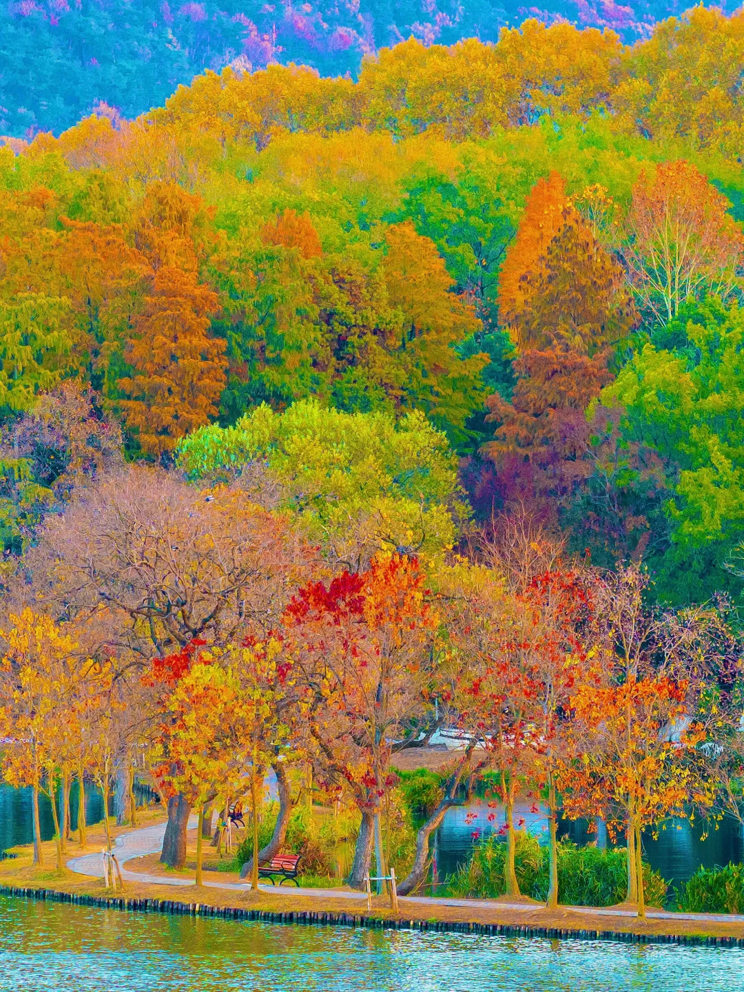 我夸南京秋天一万遍🍂抵不上你亲眼来看一遍