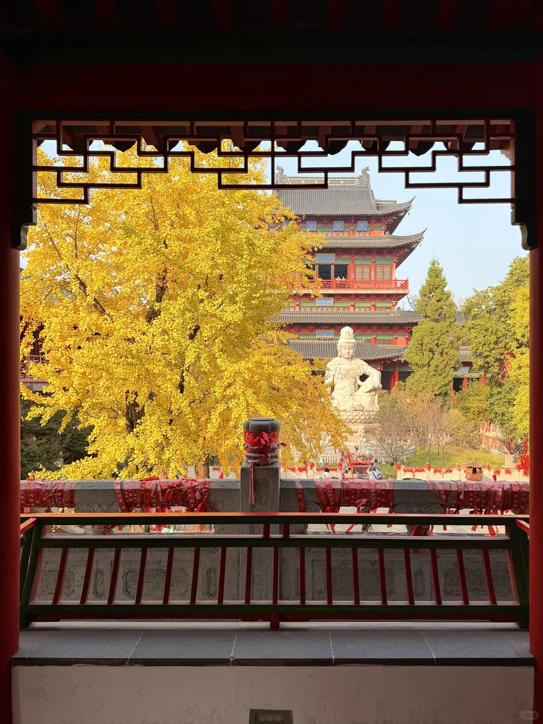 为了1️⃣5️⃣个机位，我特地在秋天去了趟南京