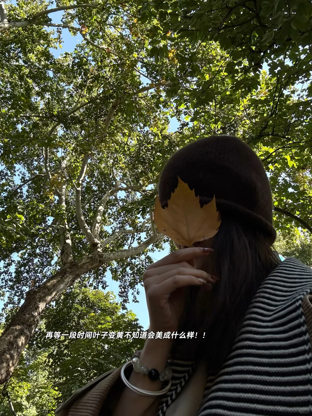 南京的秋🍂