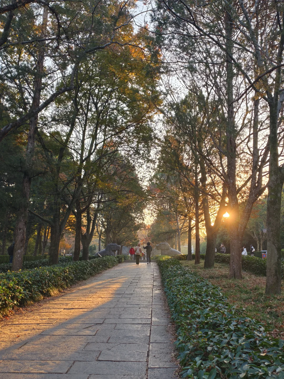 就是为了这几张照片去的南京