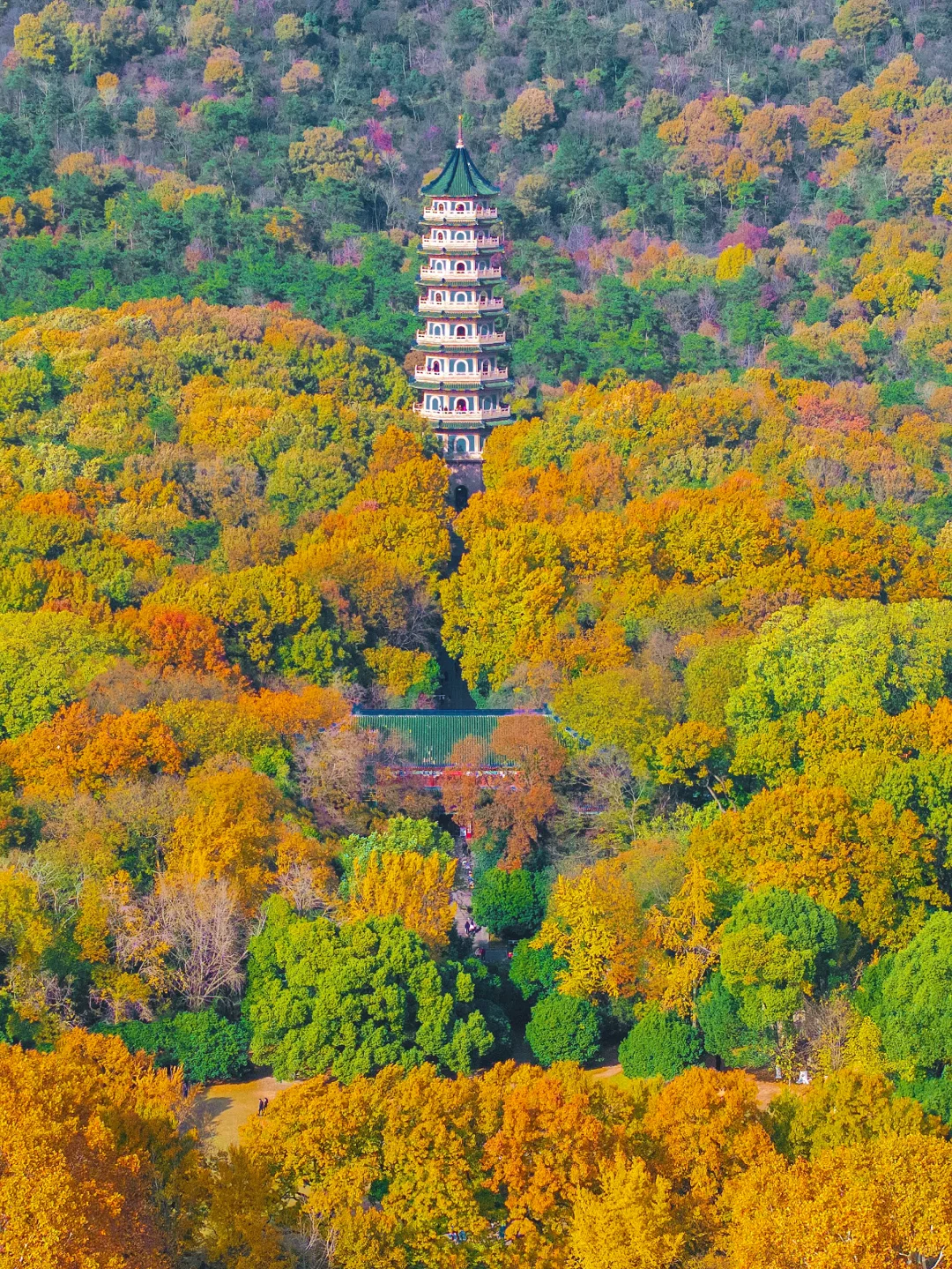我夸南京秋天一万遍🍂抵不上你亲眼来看一遍