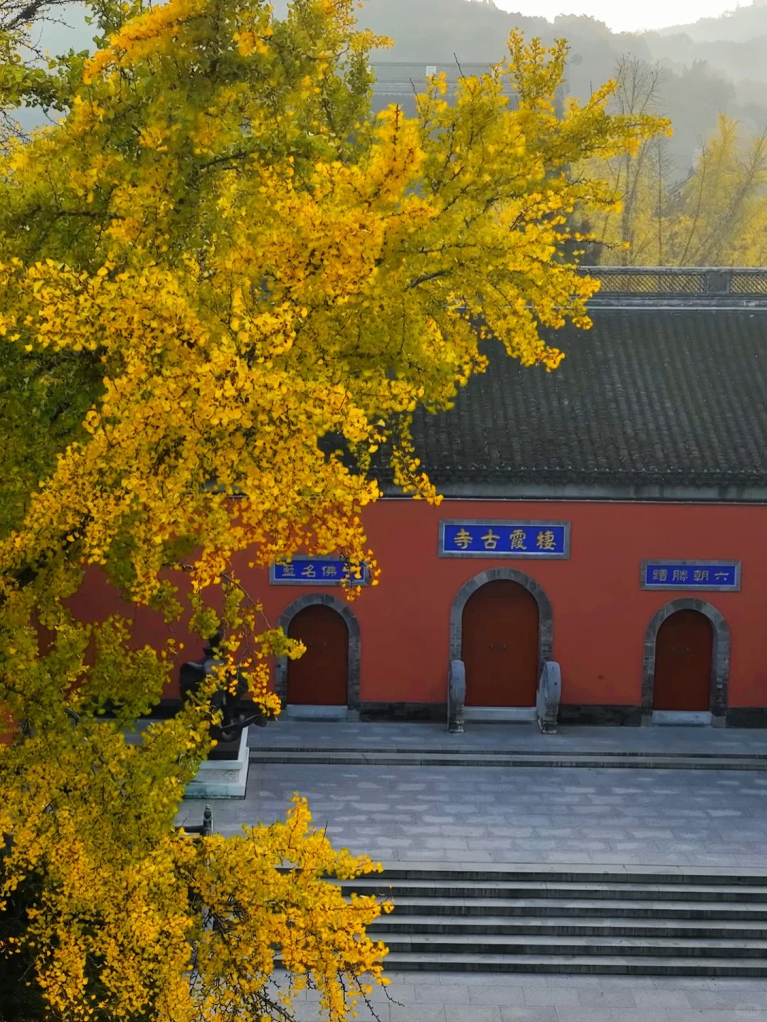 爱回收｜现在来南京赏秋🍁就去这9个地方
