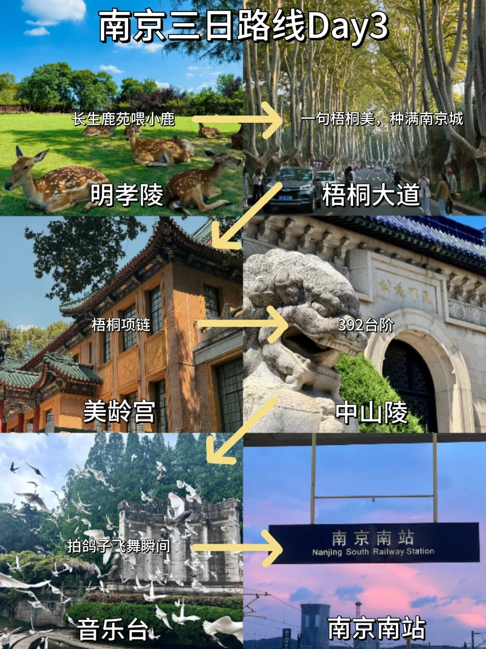 📍11.20南京受冻已回🥶🥶崩溃了...