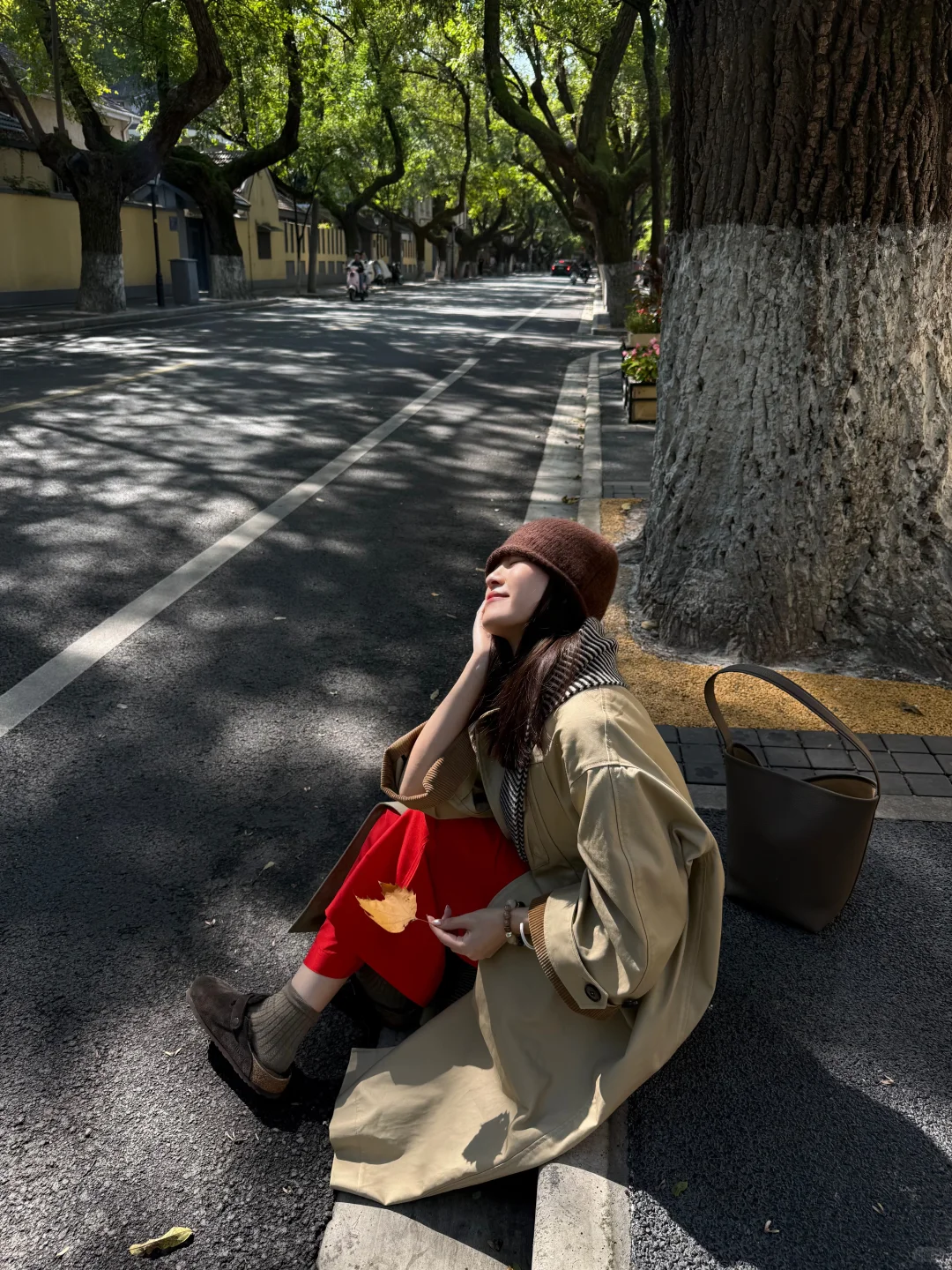 南京的秋🍂