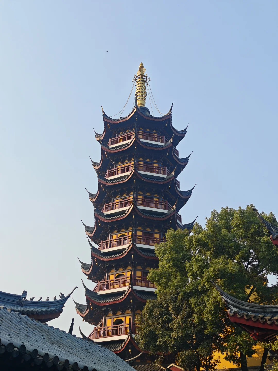 广东人两天南京赏秋