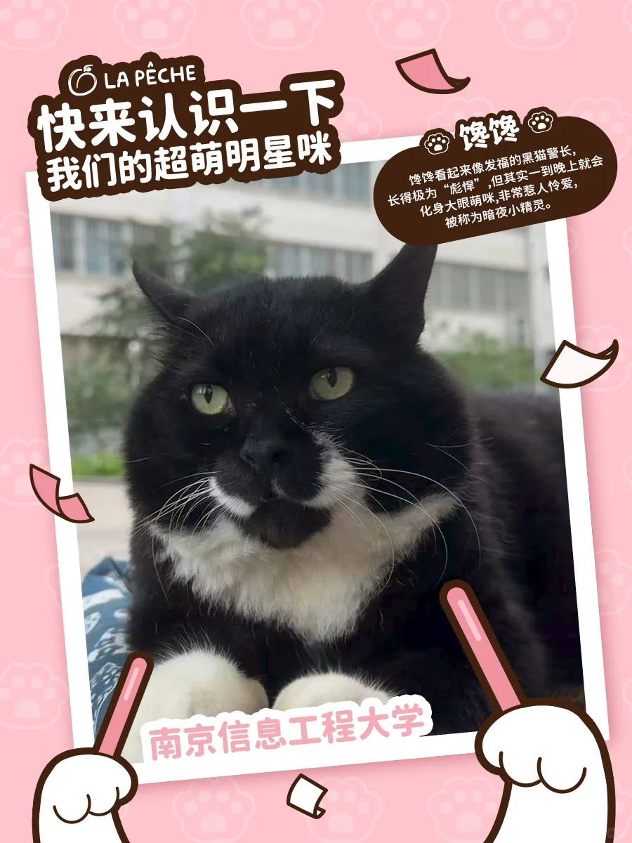 急！在线寻找一位未来巨星！（南京高校版1️⃣