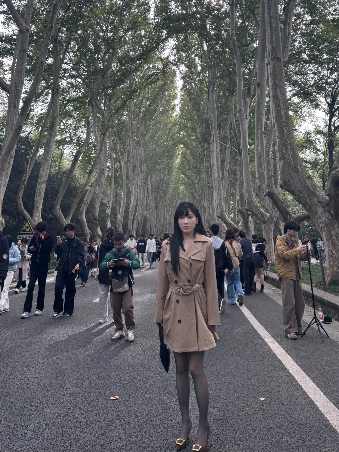 南京梧桐大道 人真美