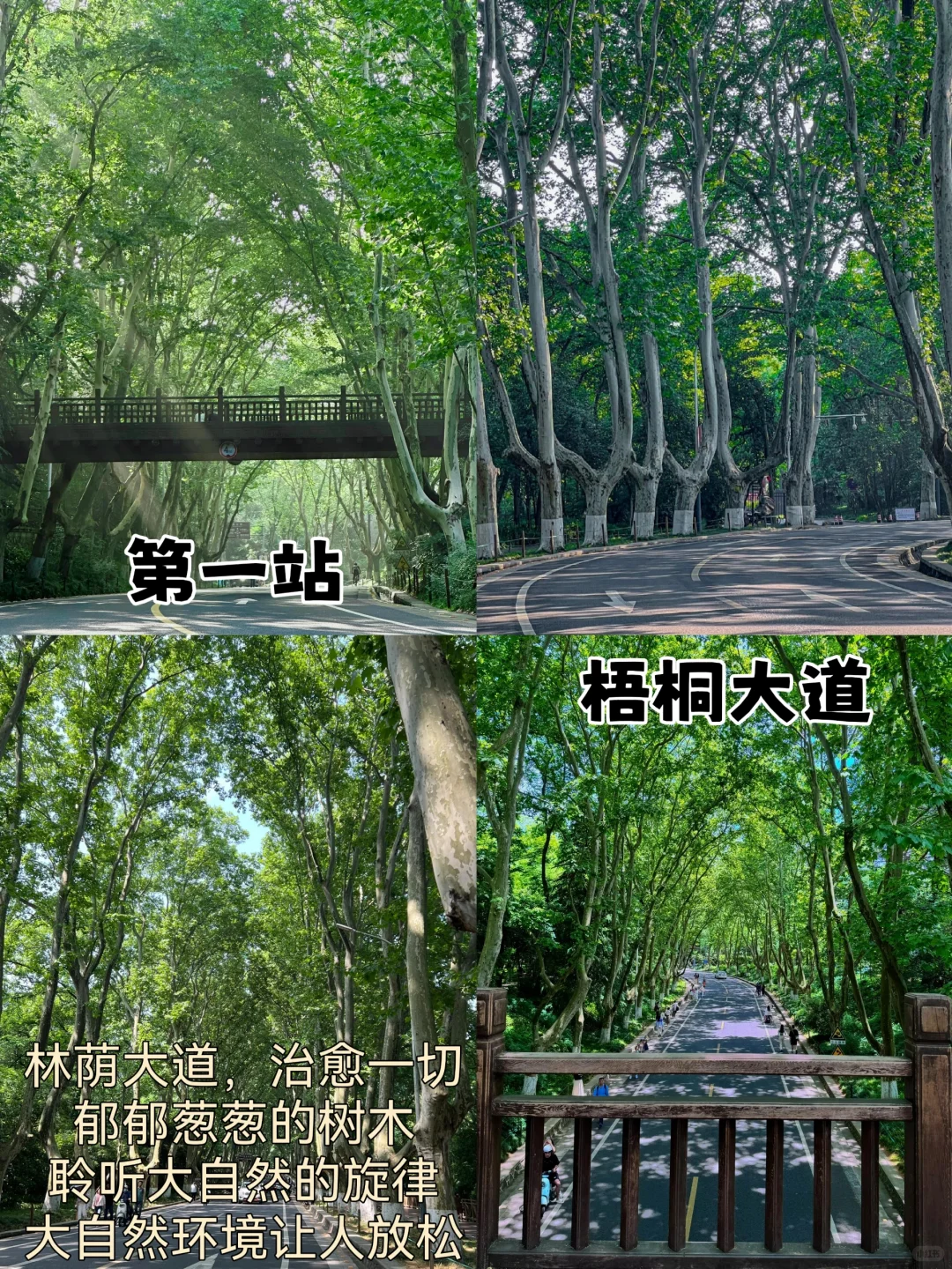 04男大📍南京两天一夜｜保姆级详细版攻略